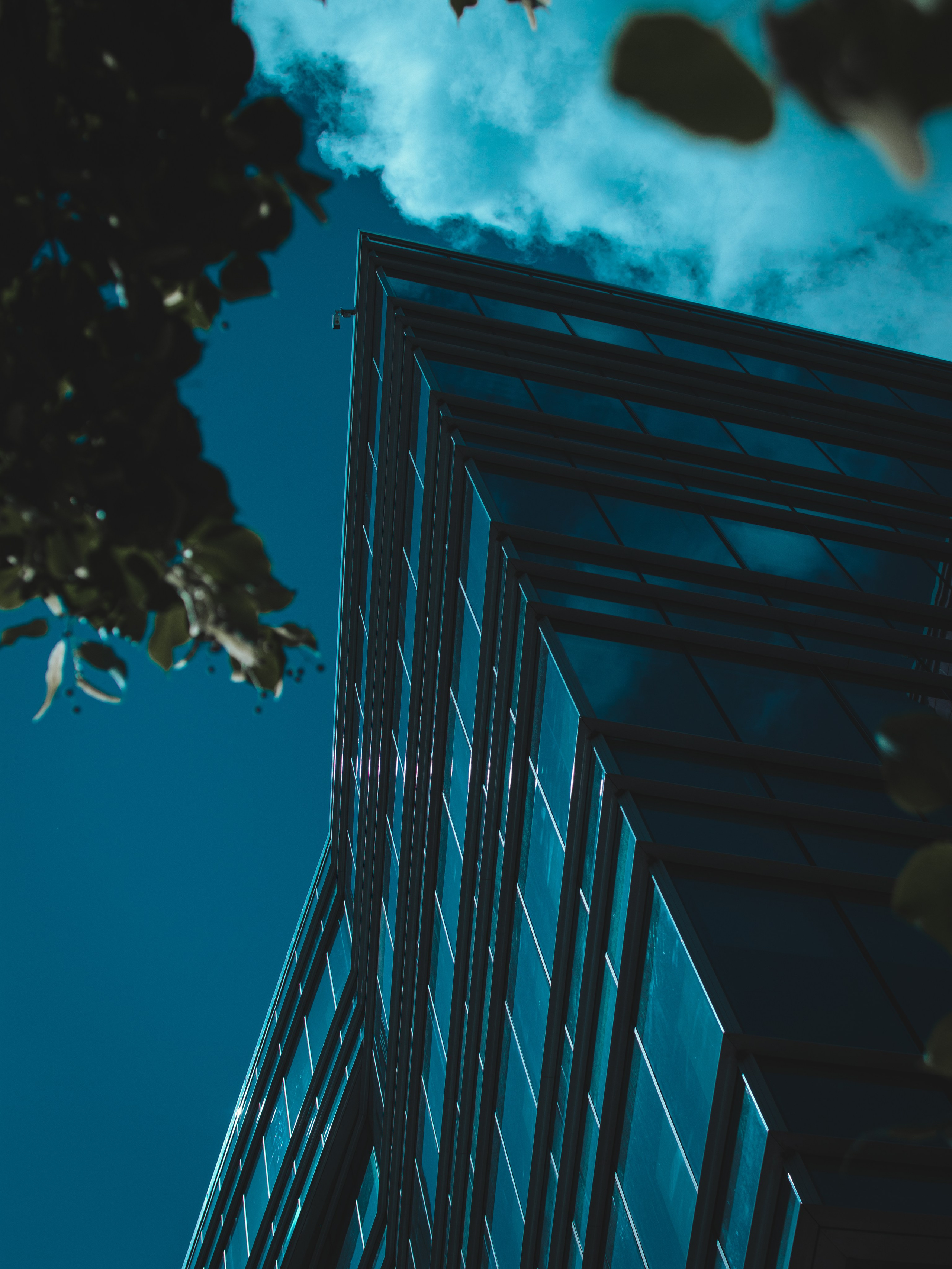 Городская съемка. Кутнов Владислав | Портретная и городская фотосессии | Санкт-Петербург