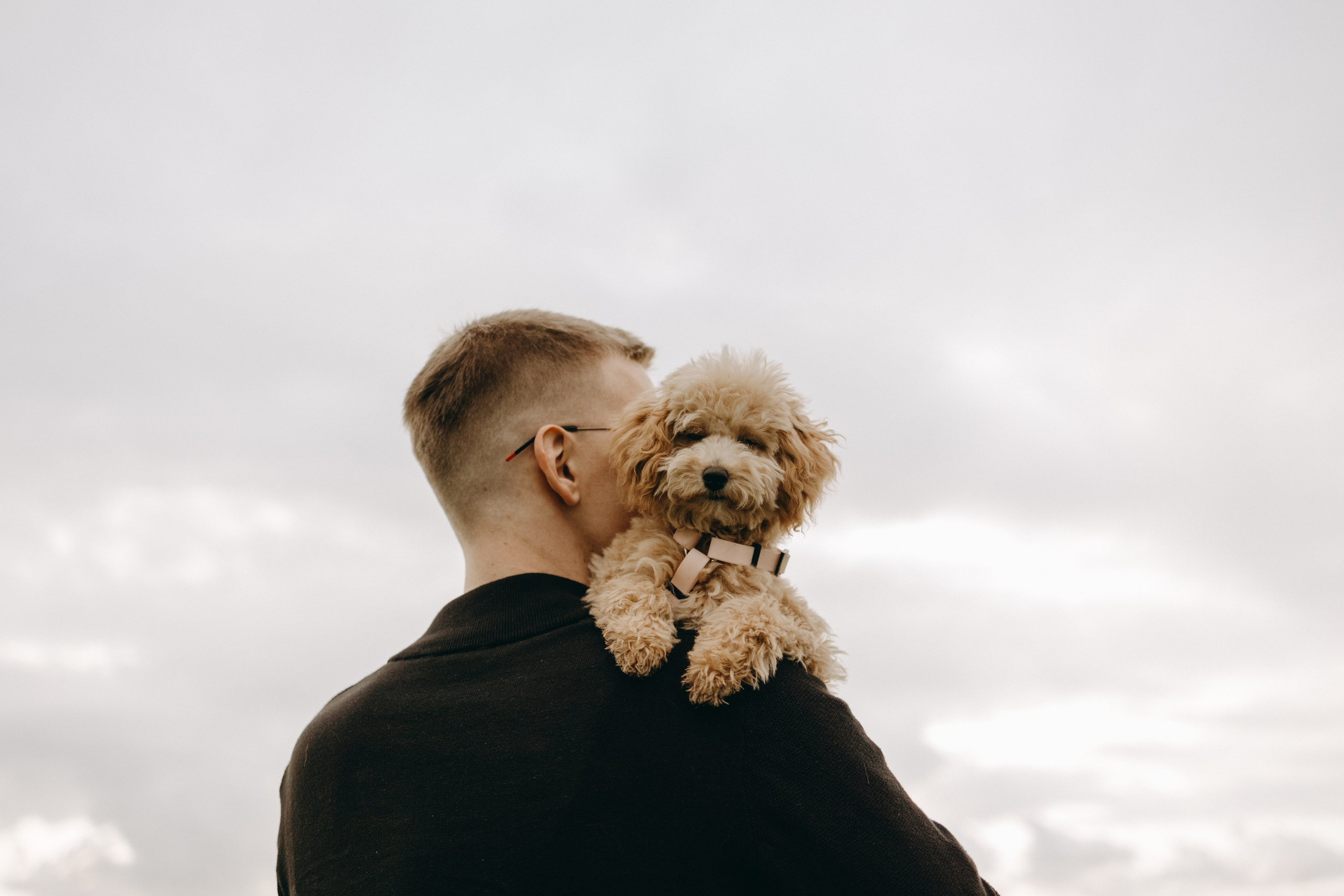 Мия и ее семья. Фотограф — Анималист | Санкт-Петербург