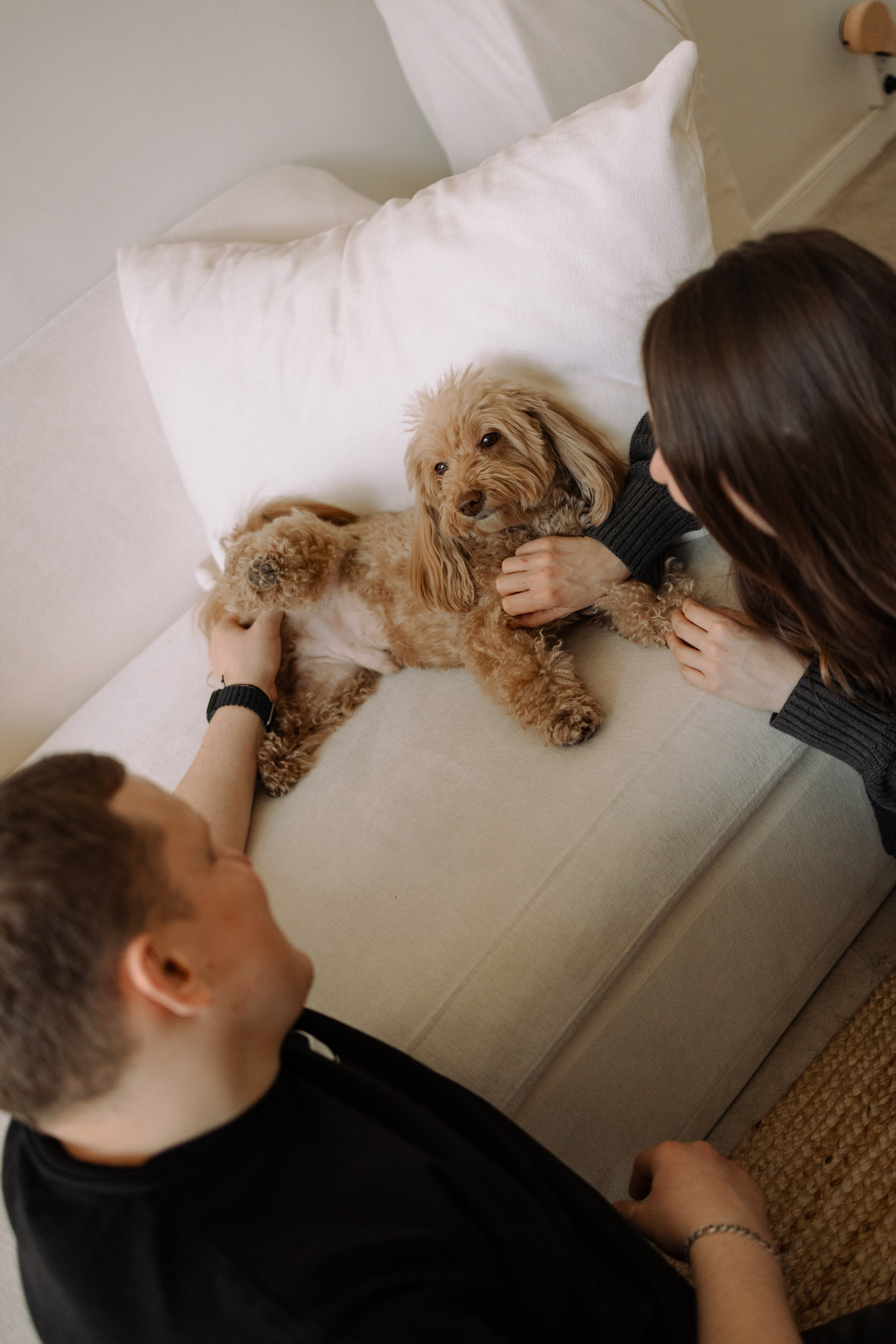 Шкипер и его семья. Фотограф — Анималист | Санкт-Петербург
