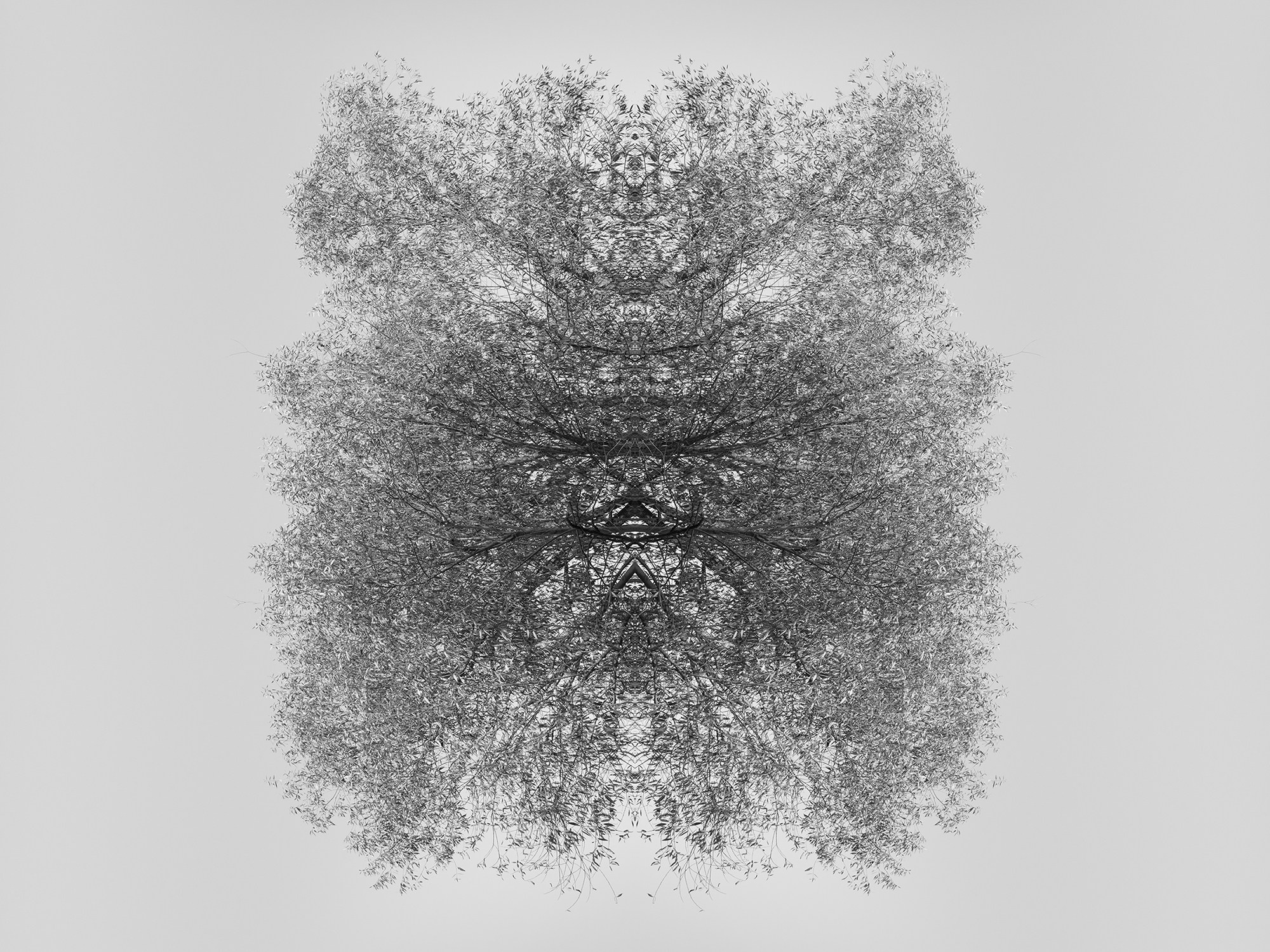 Острова. Анна Порошина — междисциплинарный художник