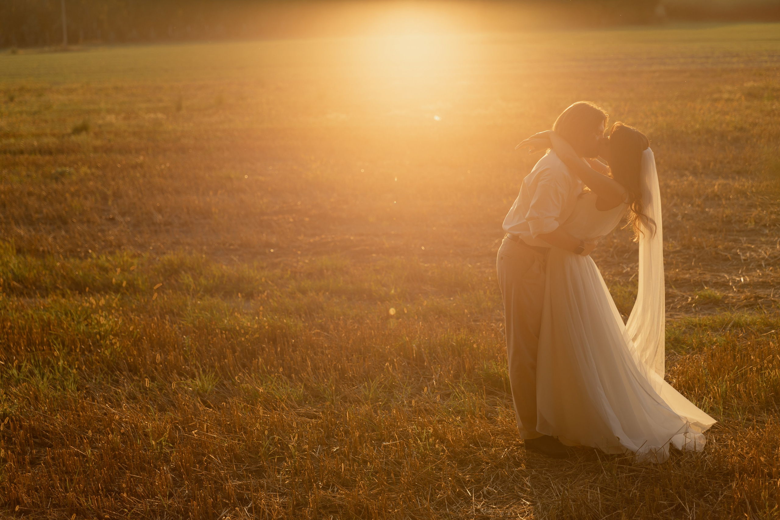 Виноградники. Dima Lemeshevsky