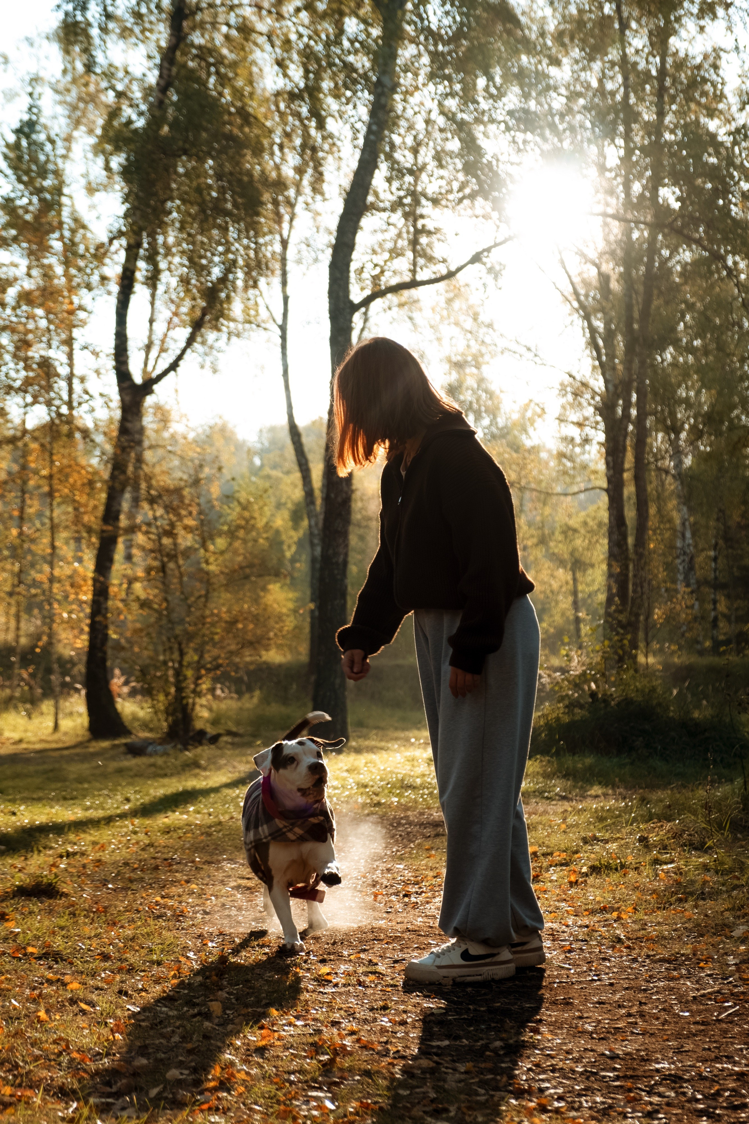 Animalism. Nataresso | фотограф Москва
