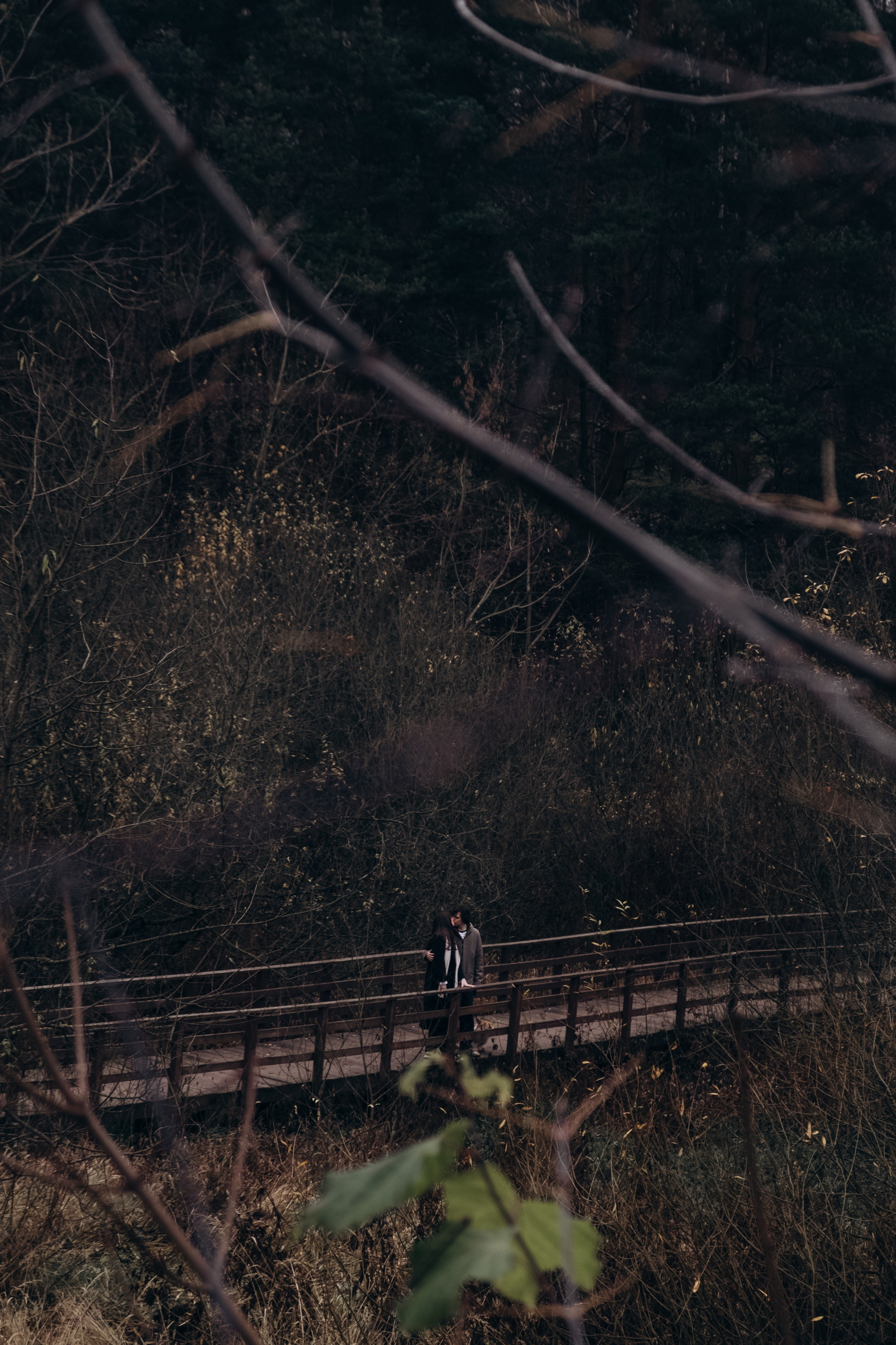 Animalism. Nataresso | фотограф Москва