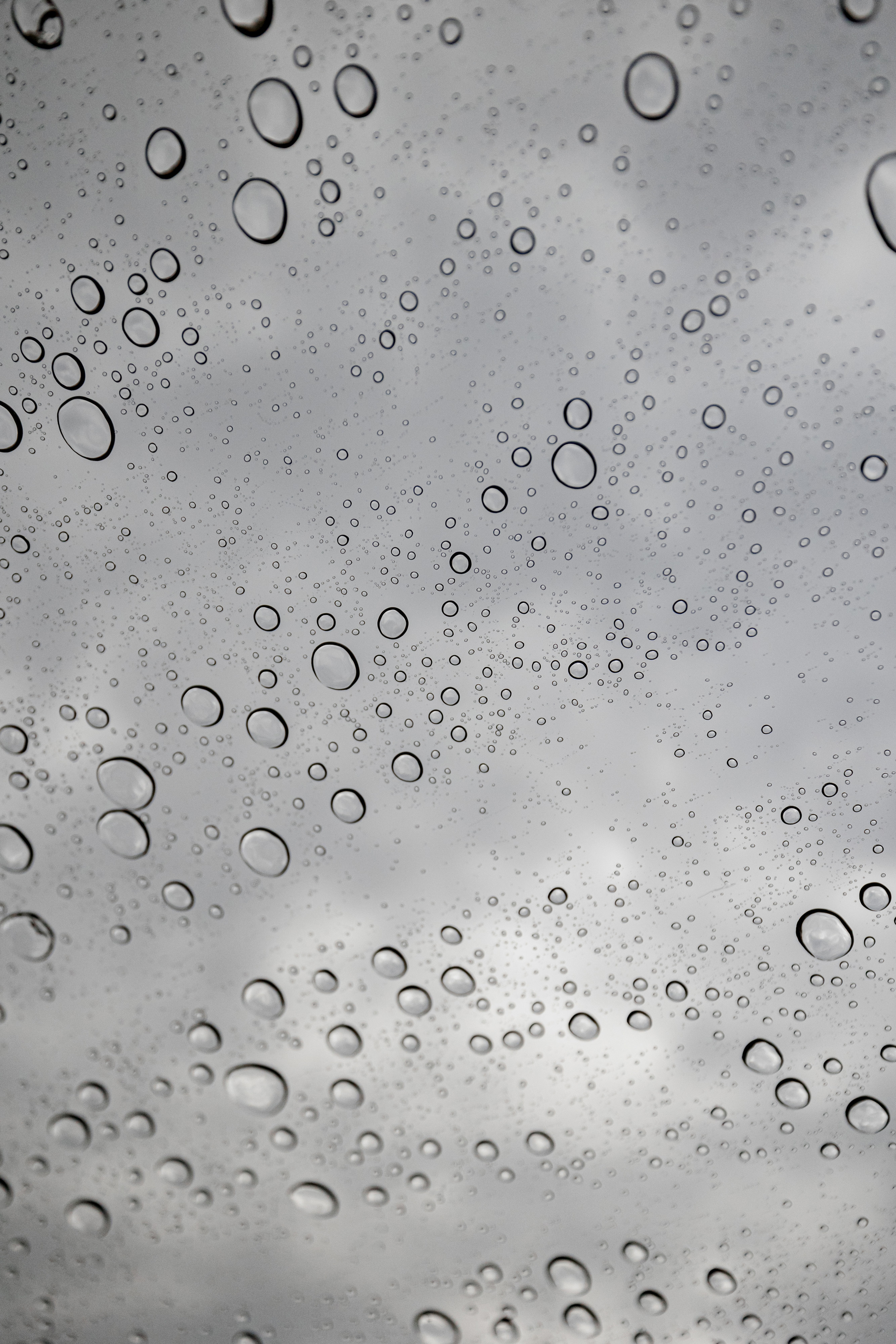 Алена Виктор. Wedding photographer Victoria Karpova