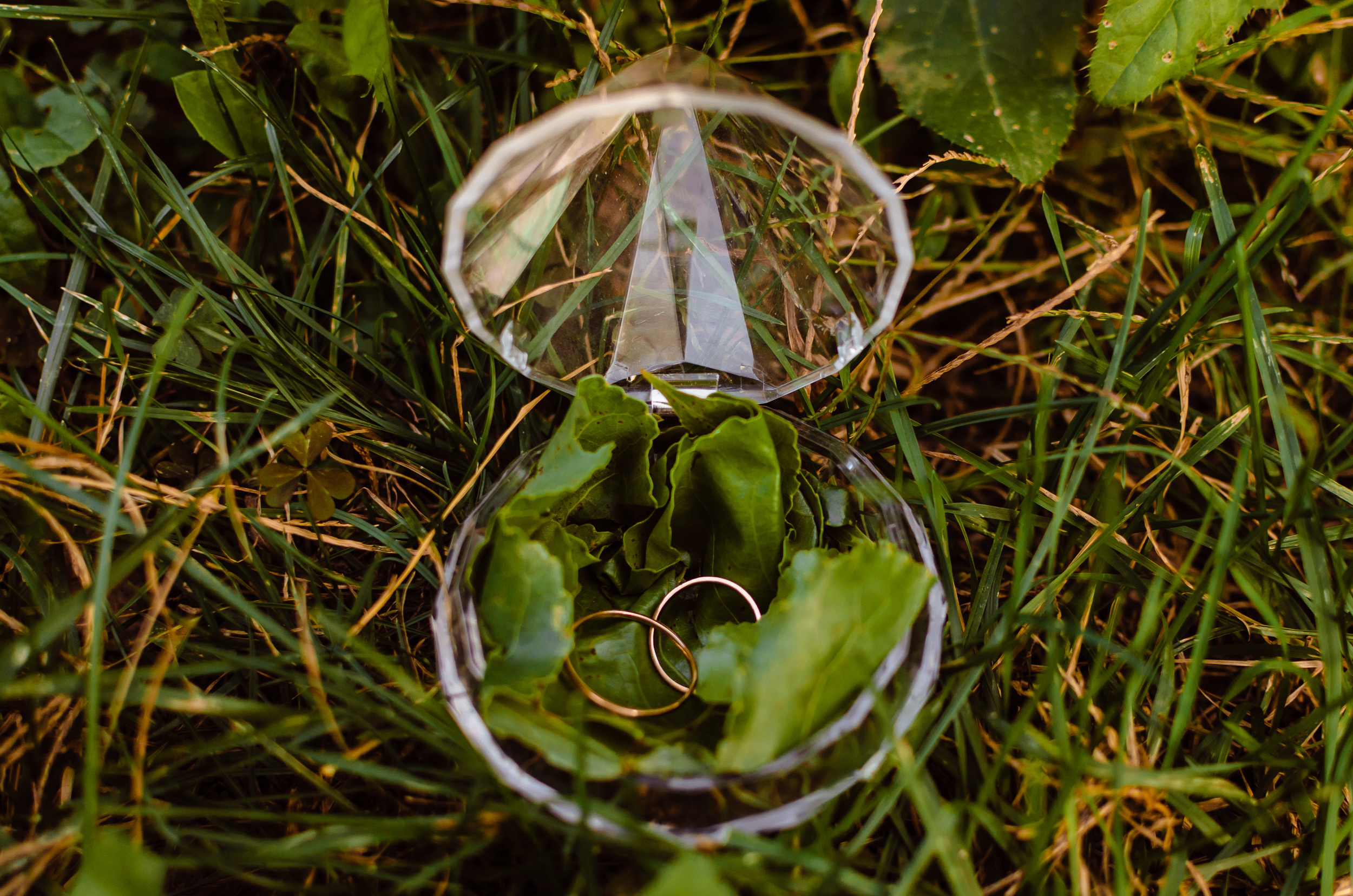 Свадьба в г.Пятигорск. Свадебный фотограф Ольга Дзюба. Фотограф Ольга Дзюба. Фототерапия как зеркало души. КМВ