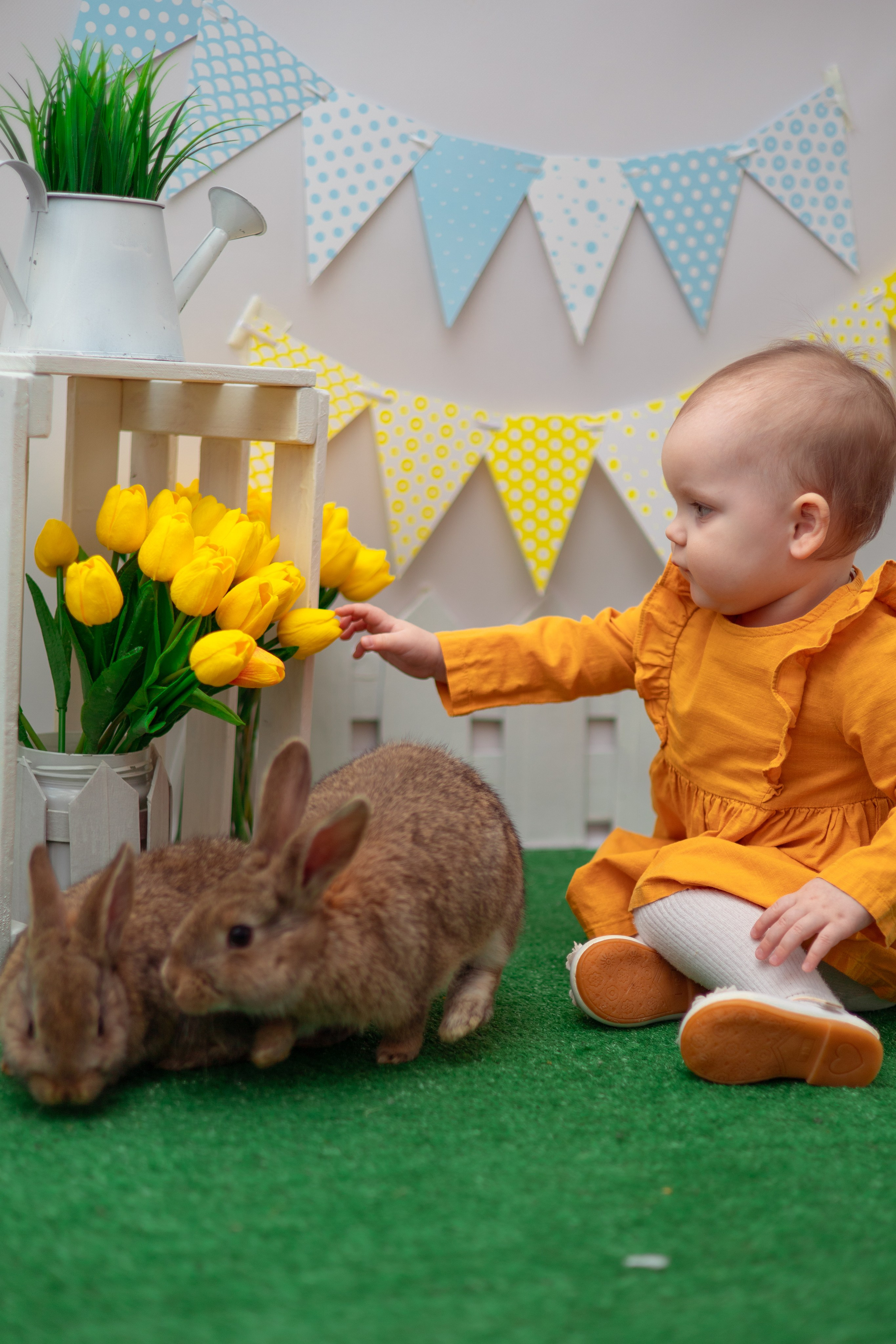 Вероника кролики. Семейный и детский фотограф в Михайловке Татьяна Лестьева