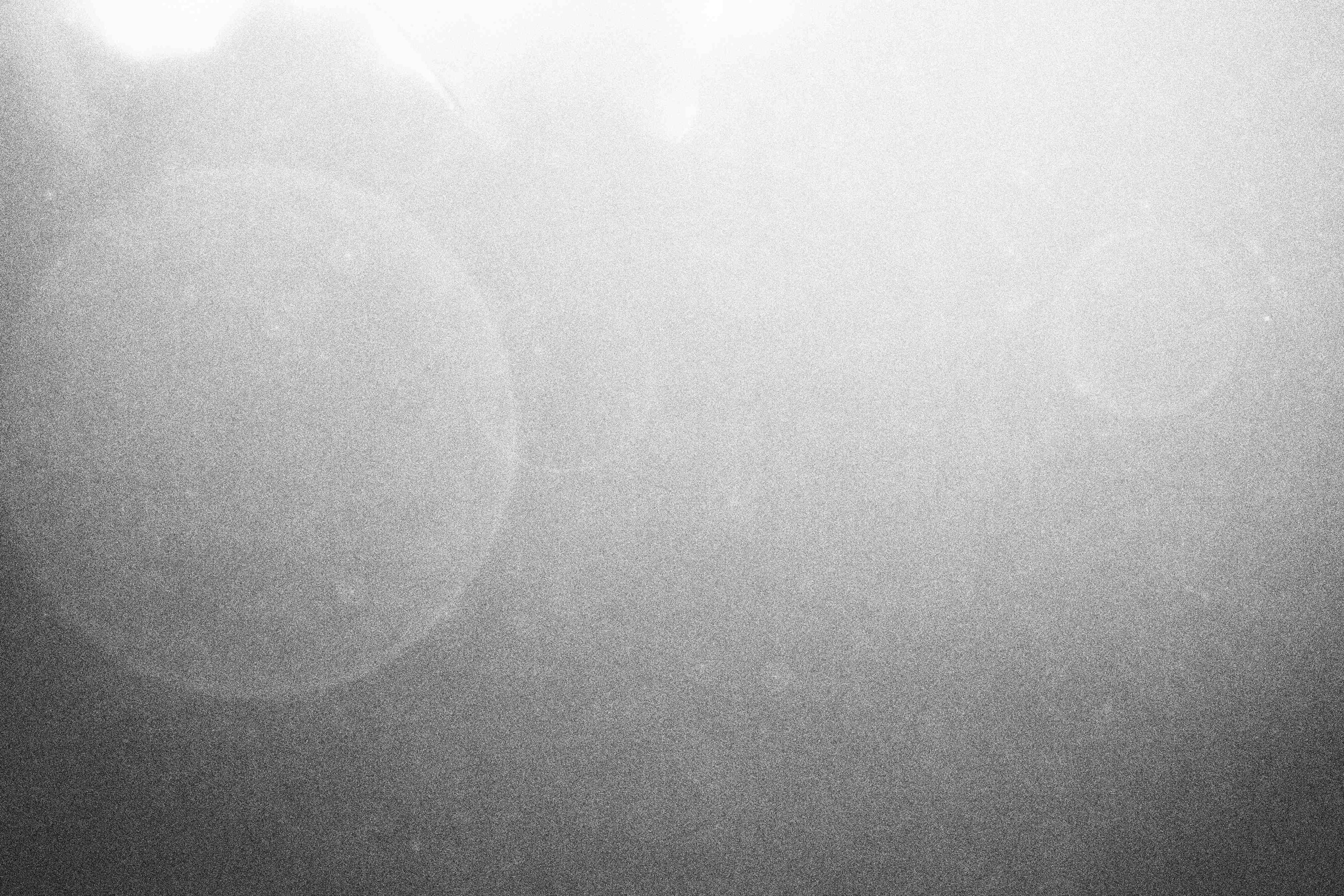 «Видеть. Чувствовать. Сохранять»