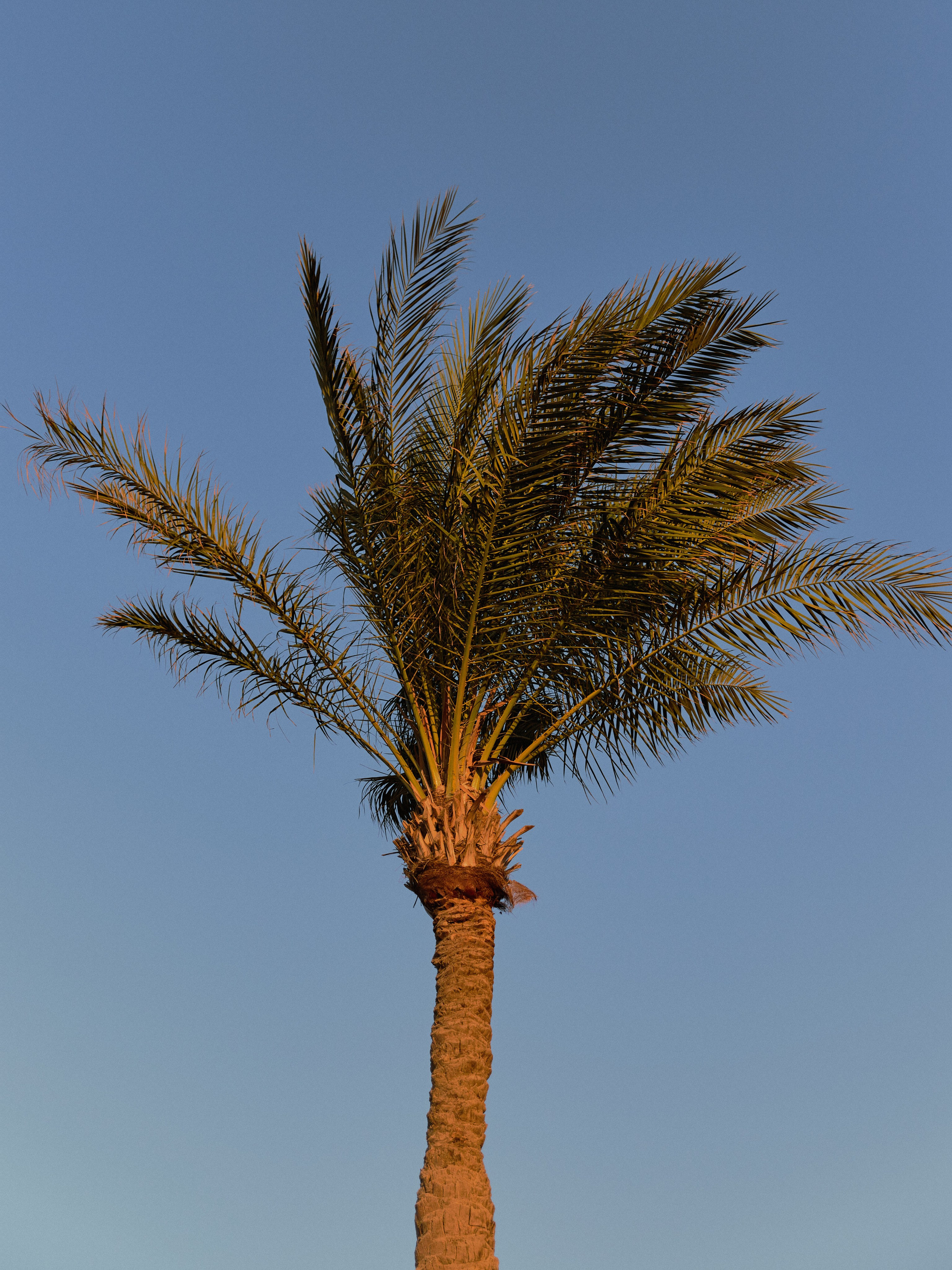 Природа. Jorgis Talè — photographer, kind person, teacher of arts and other mag