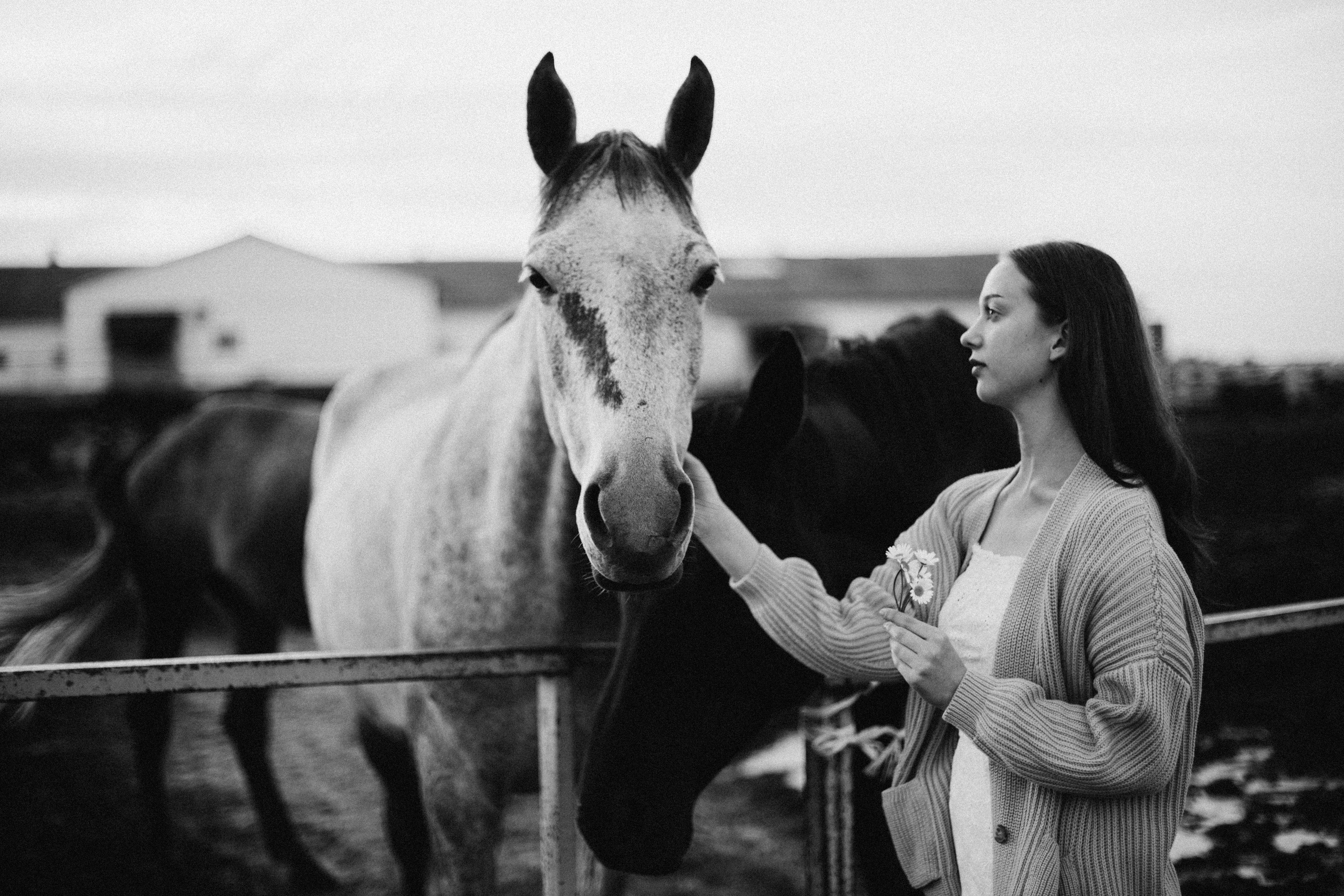 Что-то на закатном. Репортажный и детский фотограф в Минске