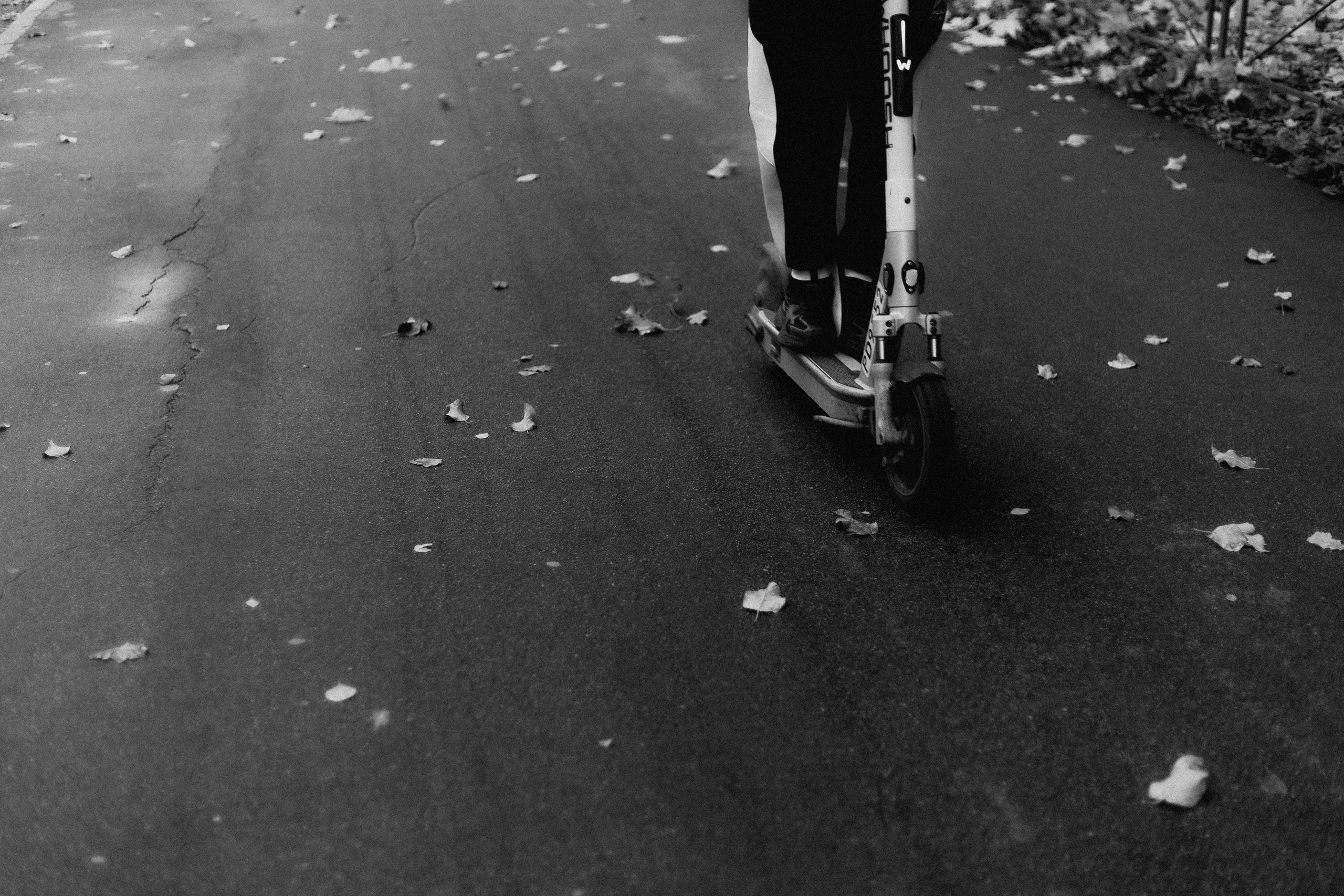 № 19. WAYHAY — Портретный фотограф