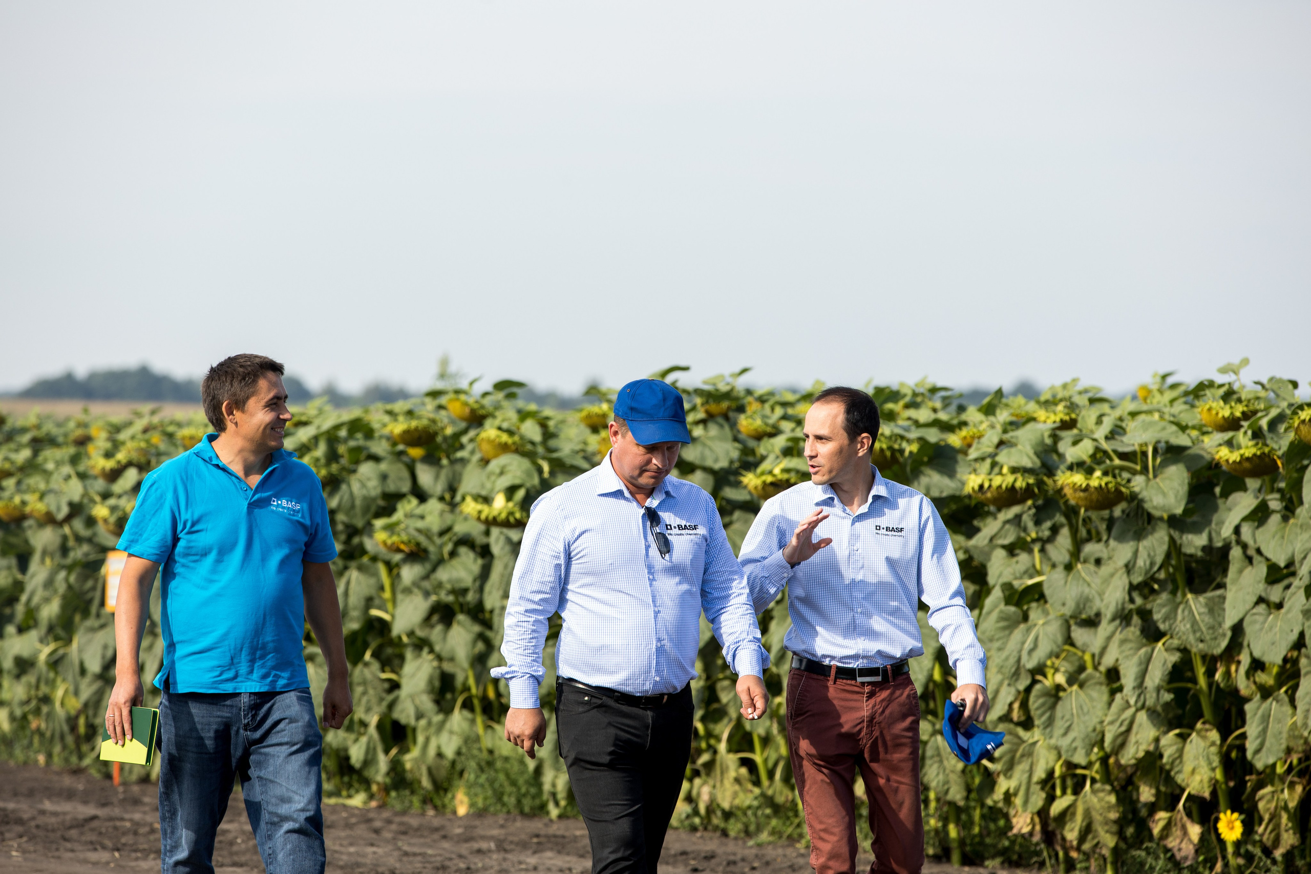 Решения для сельского хозяйства BASF 16.08.2022. Владислав Волков | Фотография и видеосъемка в Воронеже