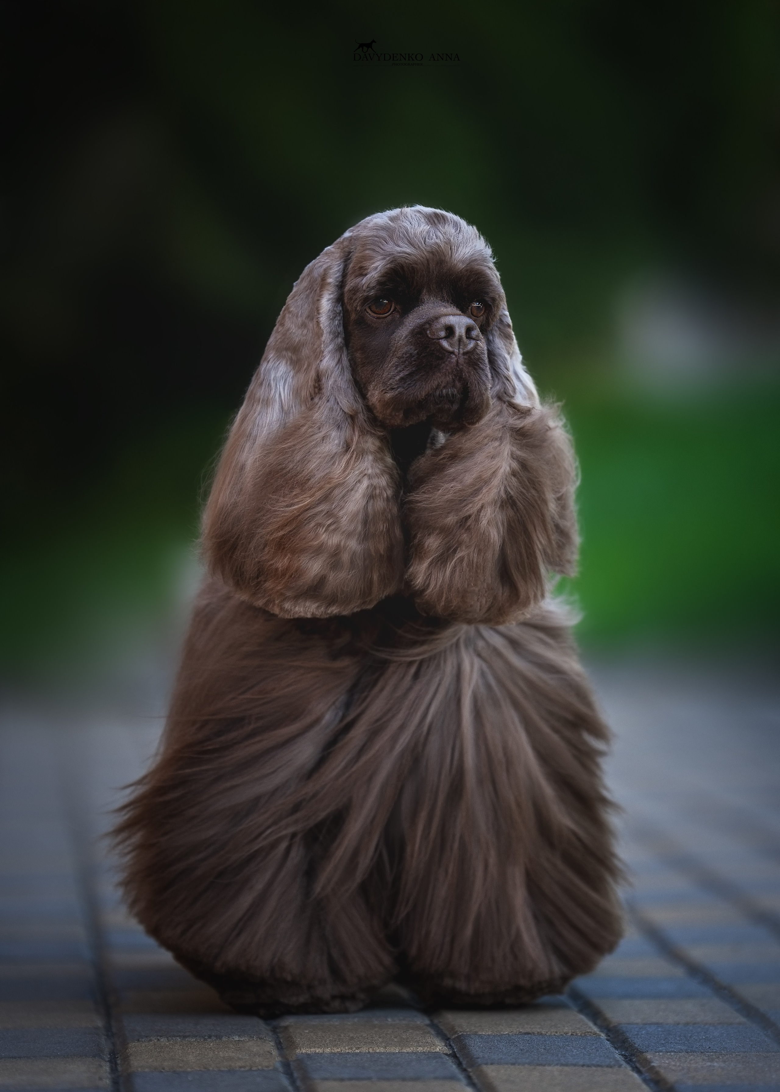Животные отдельно. Давыденко Анна / Фотограф Краснодар/Сочи