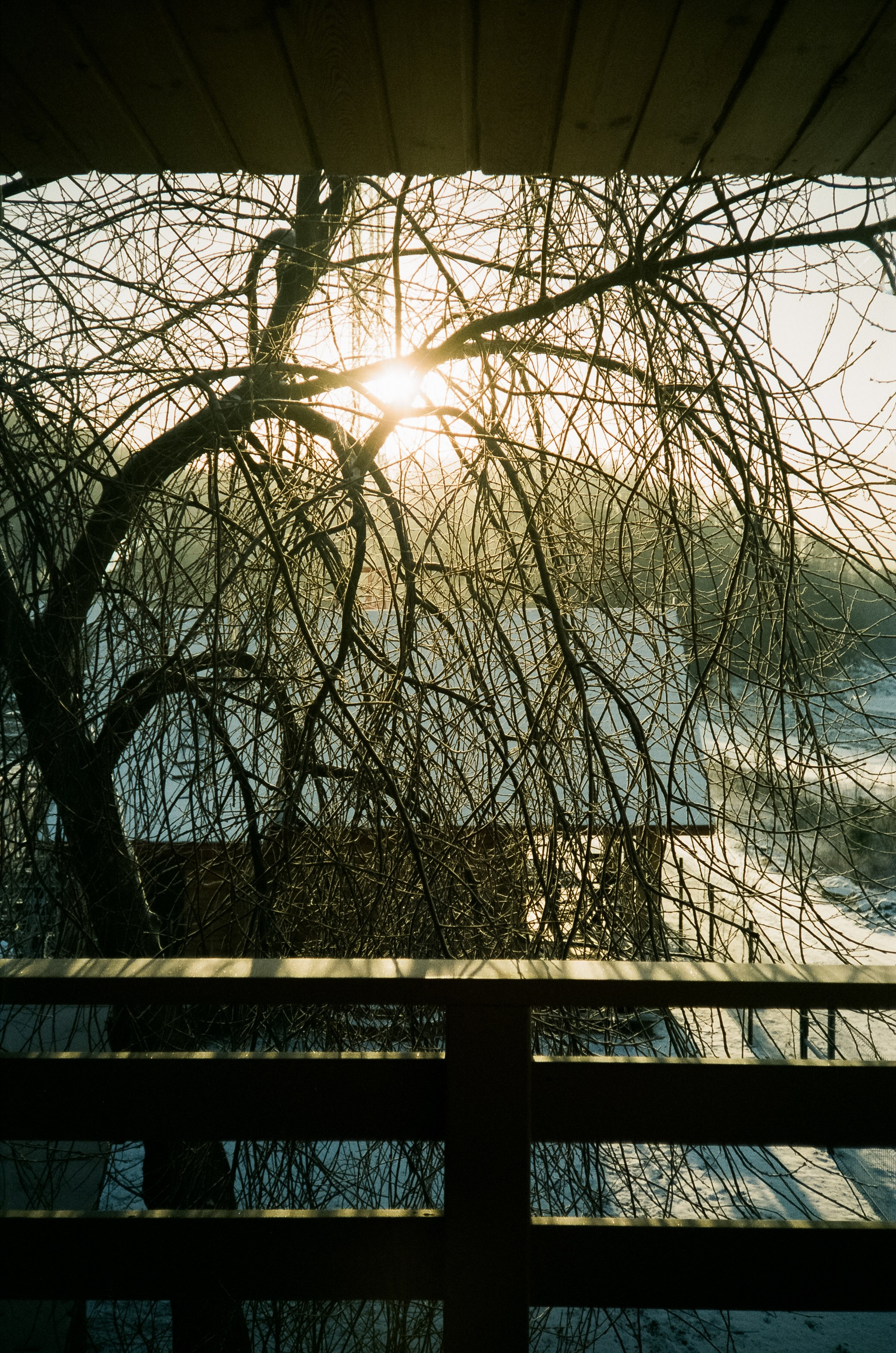 Бережок первый день, мост Бирюзовая Катунь / 10 декабря 2023 года (-25