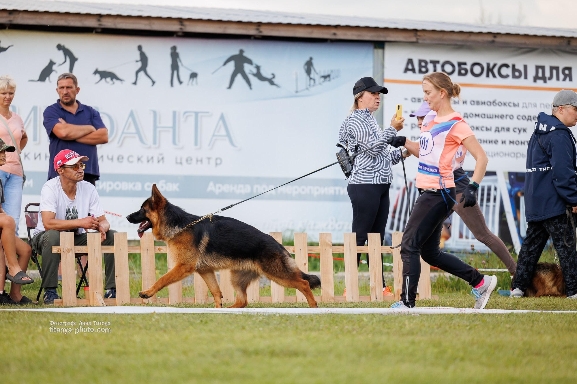 Немецкие овчарки: фото из рингов и вне ринга, мутпроба (фотографии с выставок). Фотограф собак, фотограф-анималист Аня Титова (Titanya). Москва