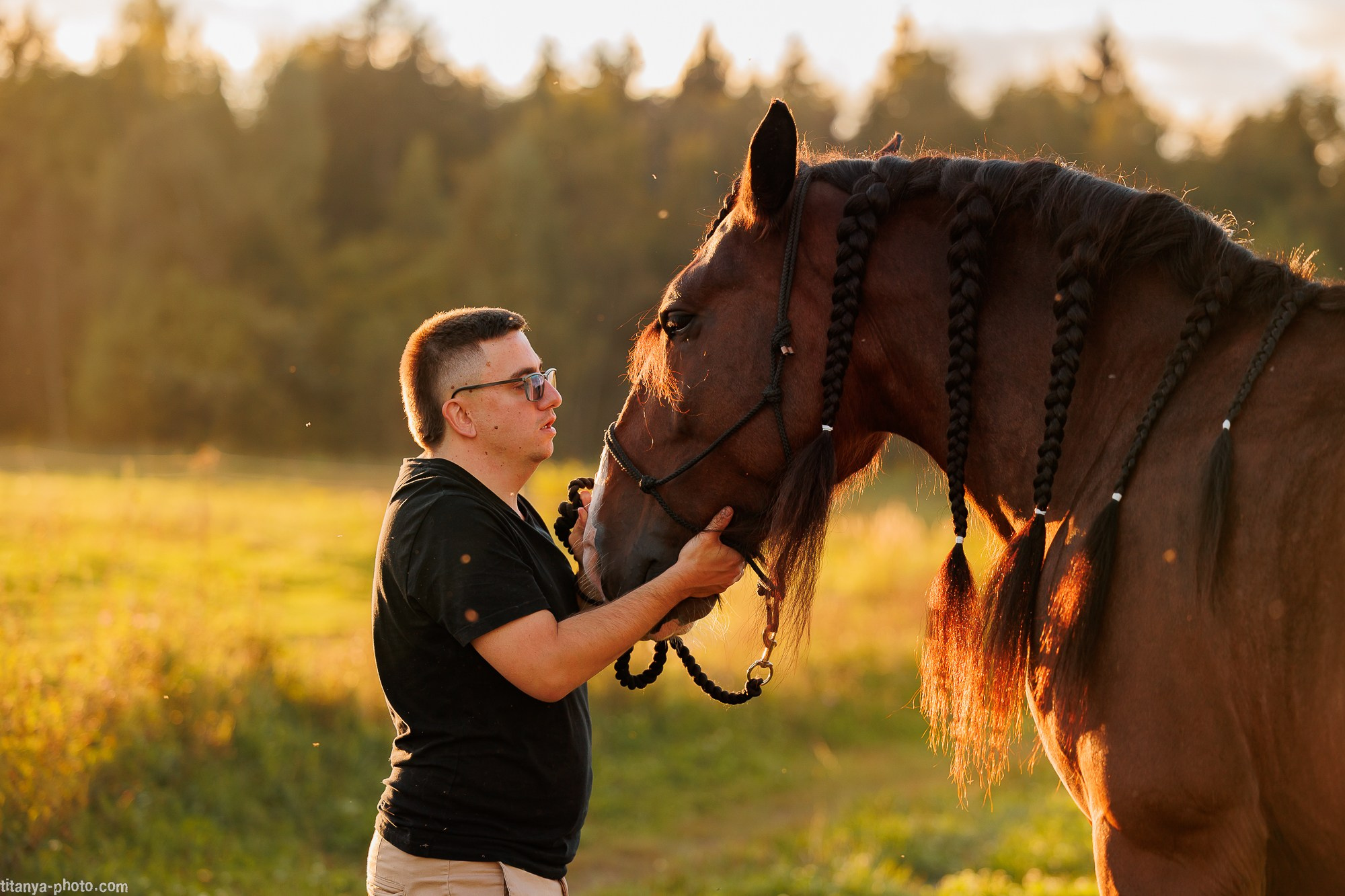 Закатная семейная фотосессия: про Настю и её дружную семью. Фотограф собак, фотограф-анималист Аня Титова (Titanya). Москва
