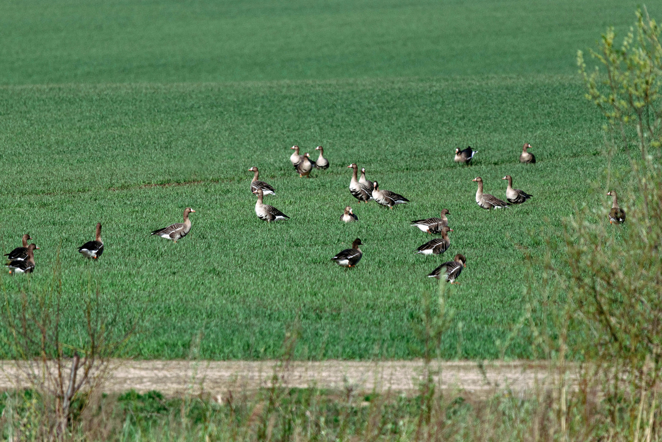 Цветные фотографии. Фотографии Лены Соколовой