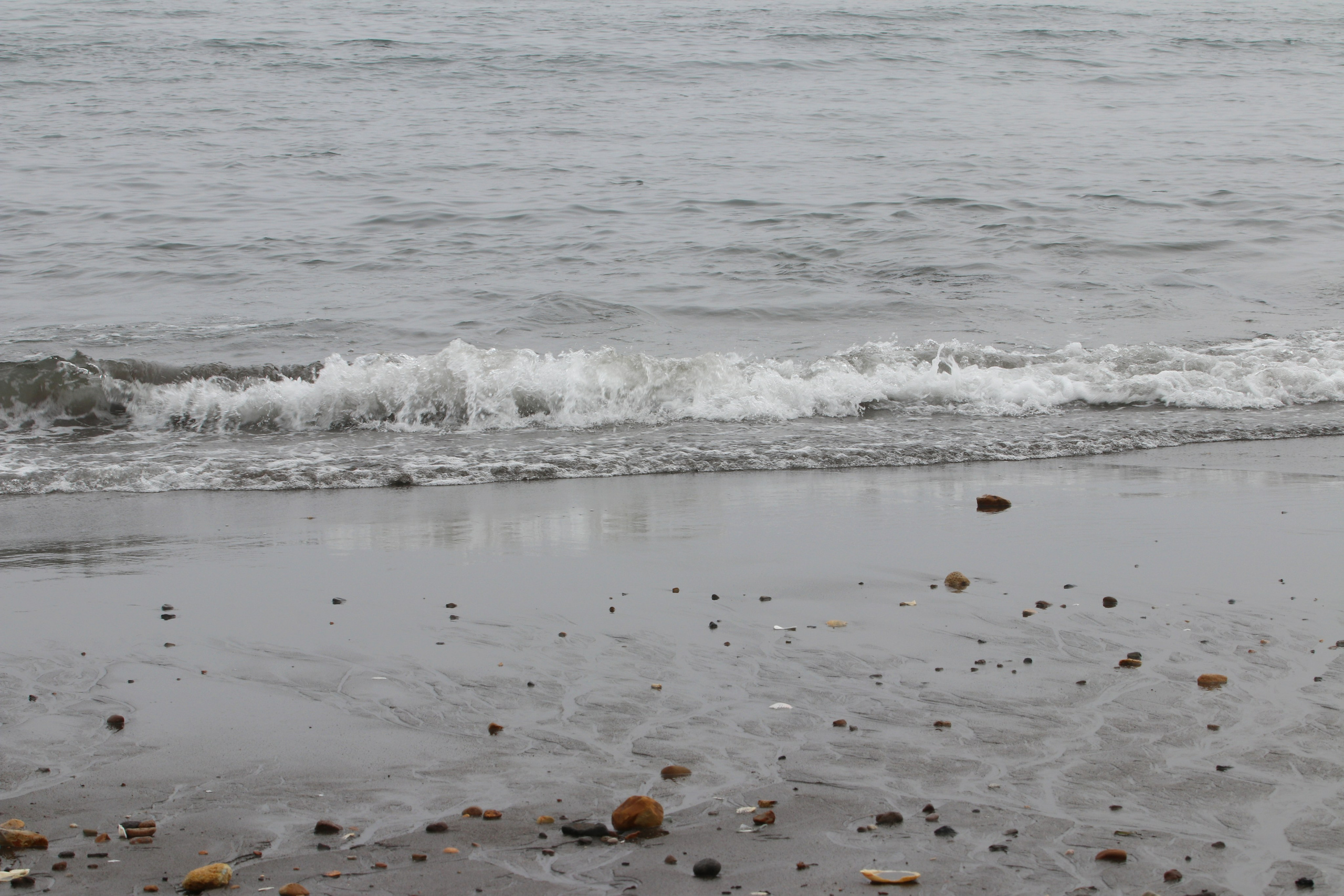 Камчатка и о. Парамушир. Июль 2024. Путешественник-фотограф из Санкт-Петербурга Татьяна Свистулина