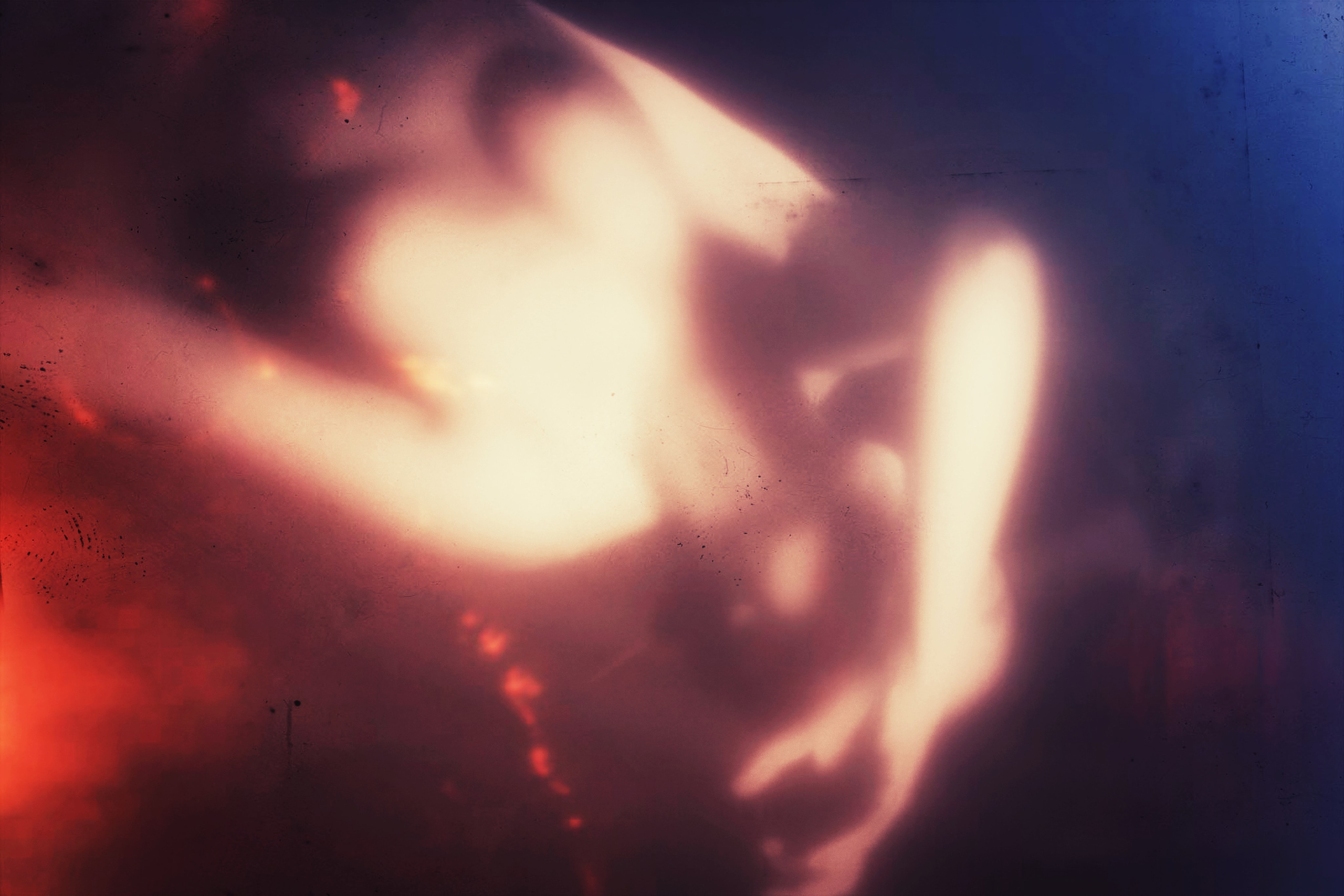 Evgeniia Mikheeva — International visual artist