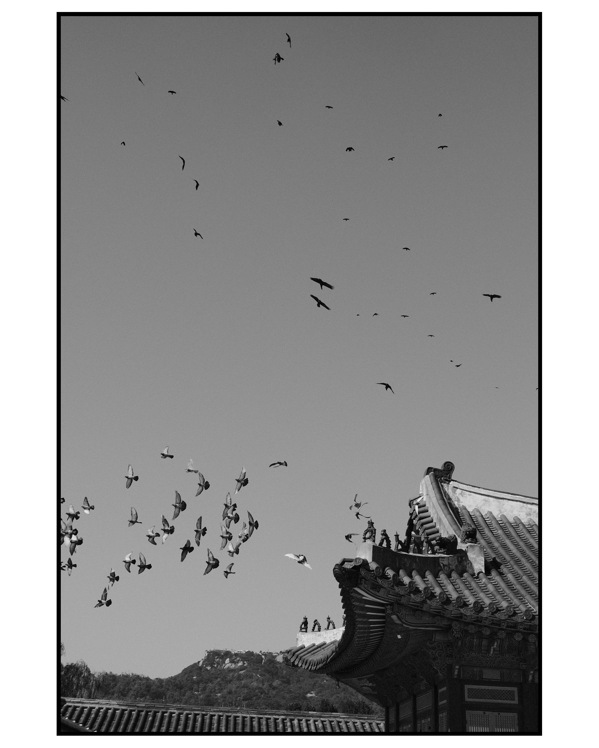 Авторские. -