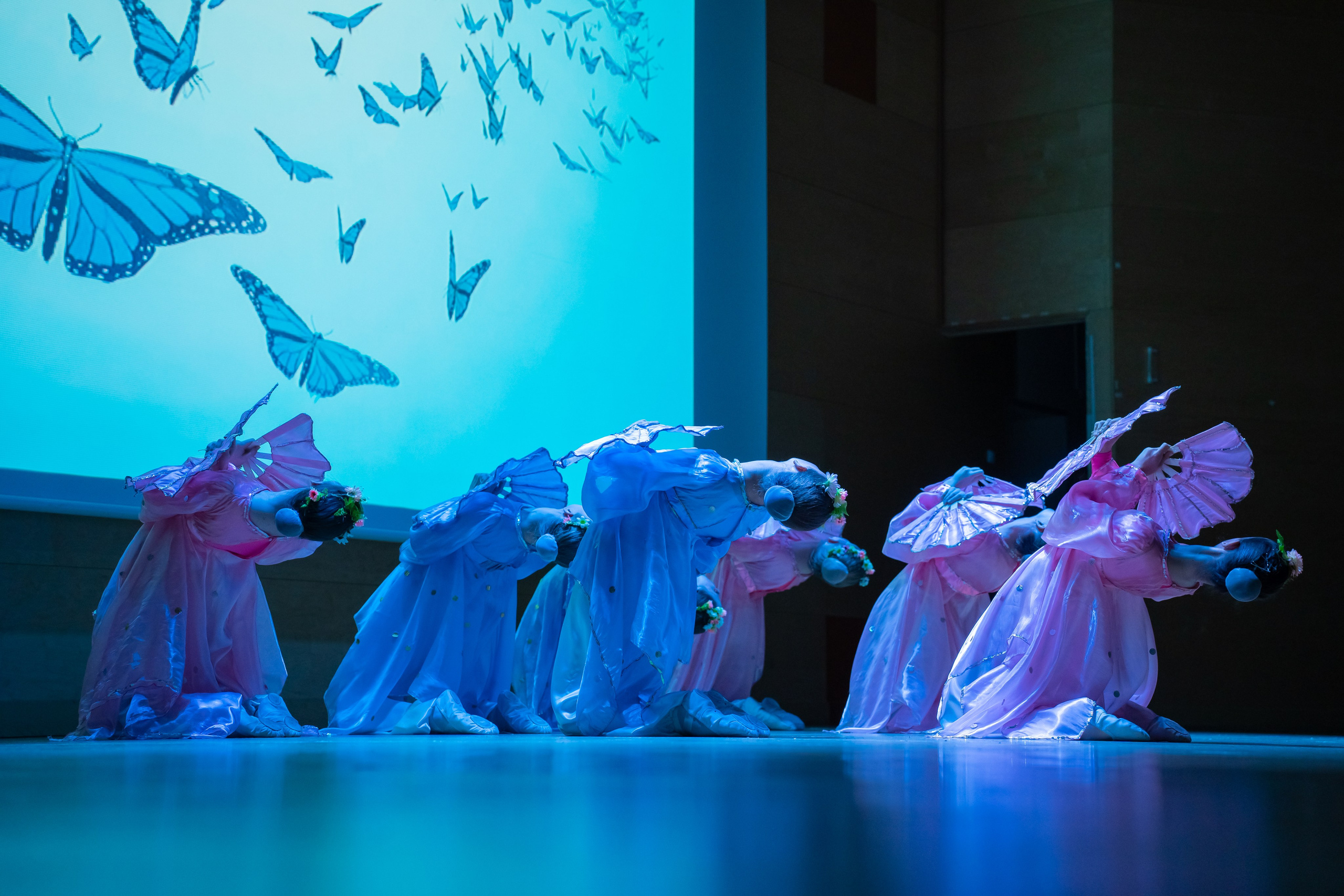 Фотосъёмка концерта. Фото / Видеосъемка в Москве