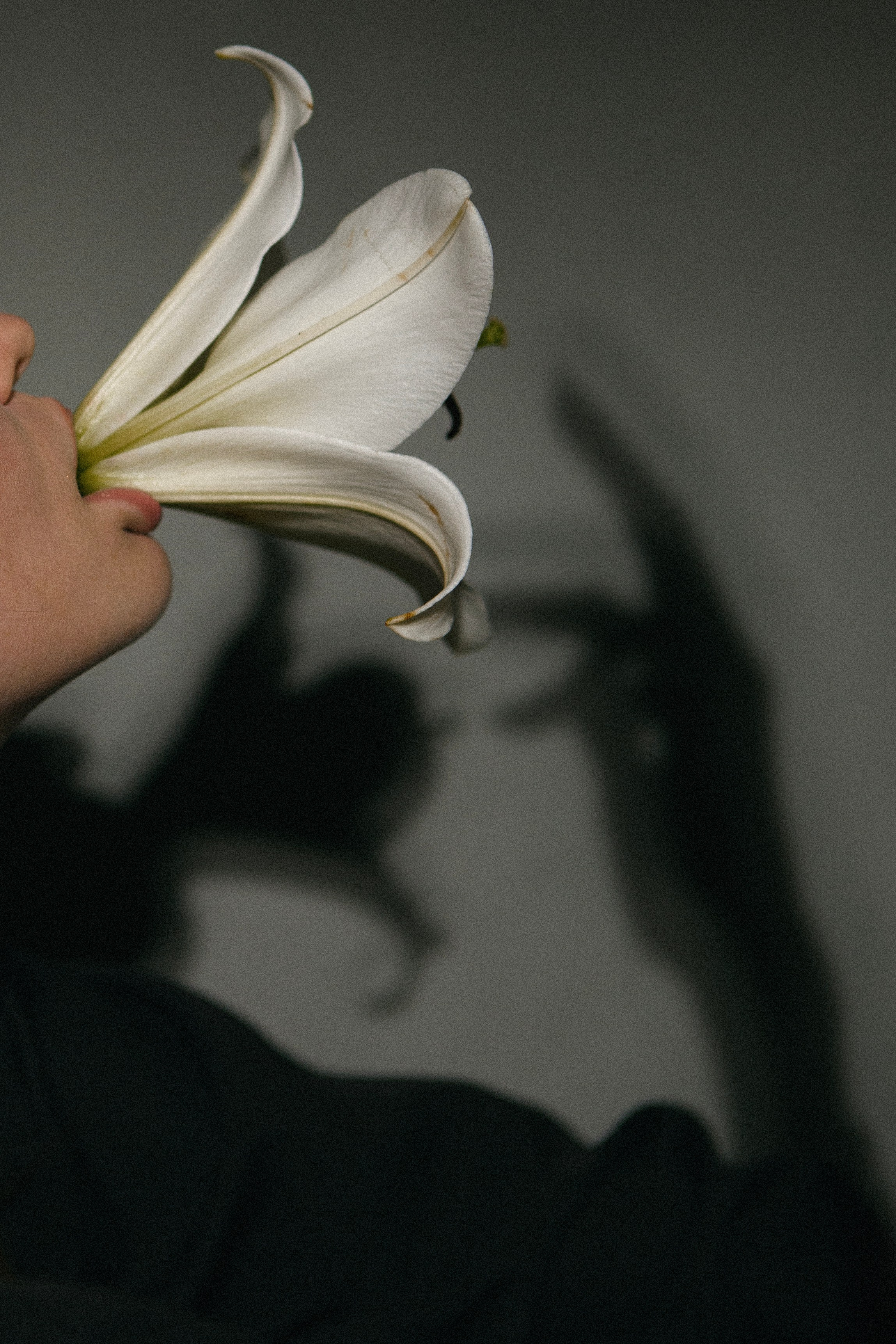 Надежда. Фотограф Оренбург Алёна Лелет