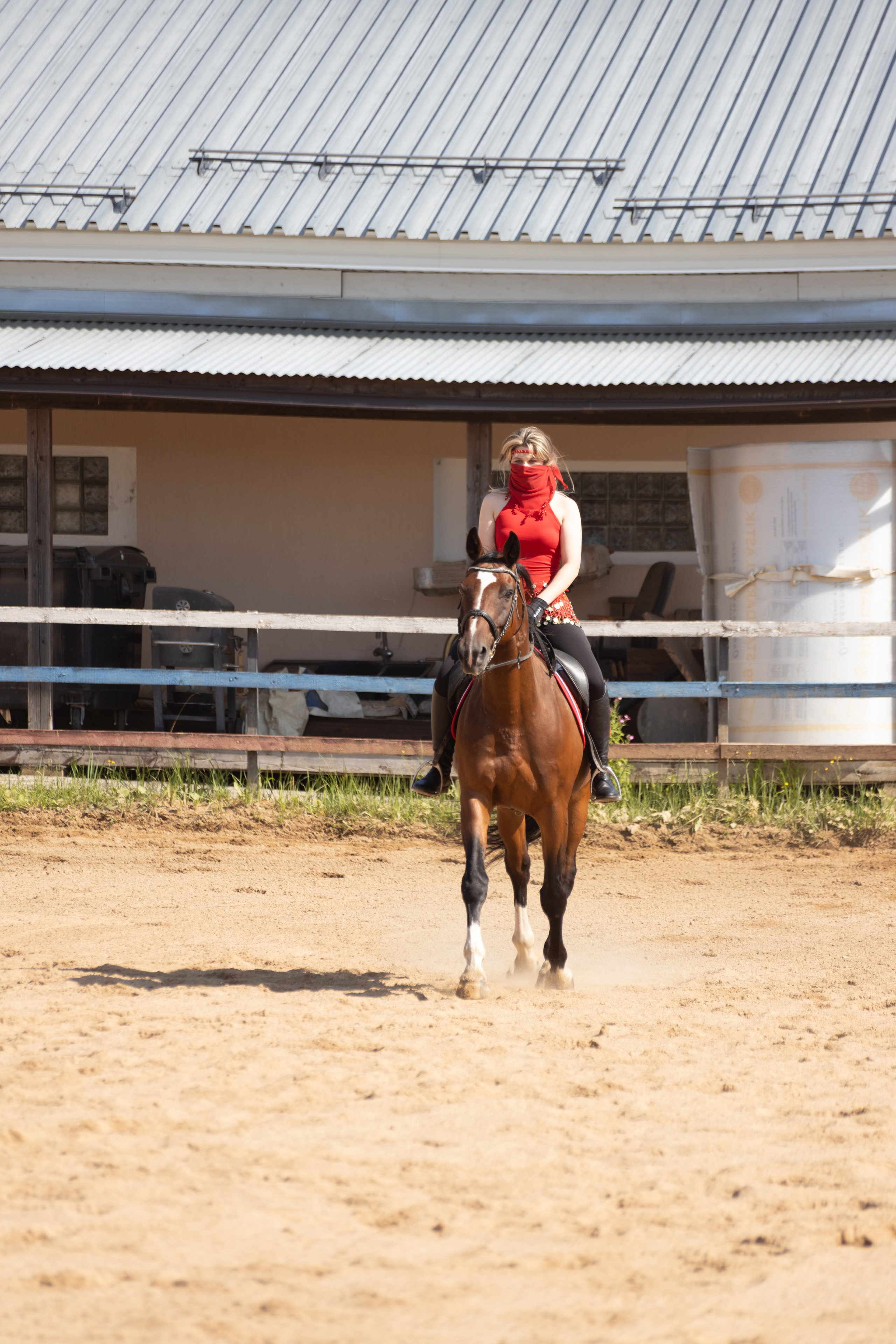 Конюшня. Фотограф в Москве и Истре
