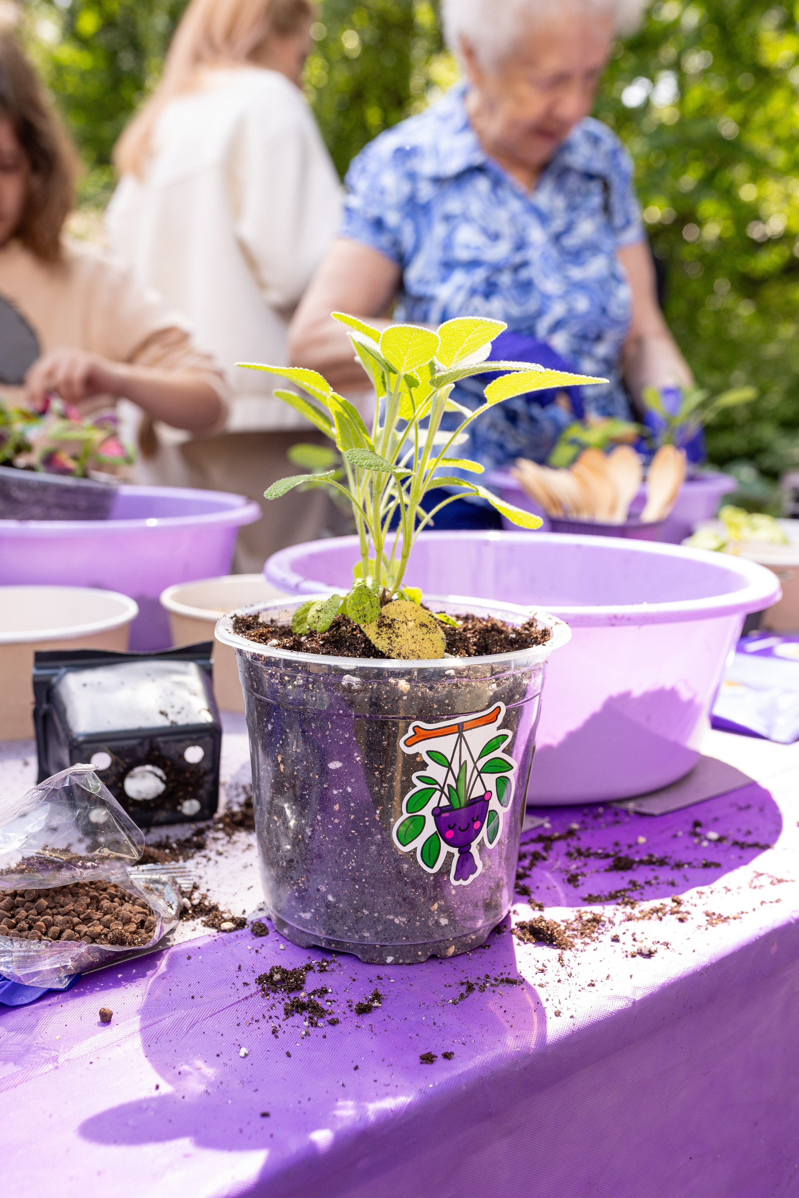 Мастер-класс от Аминосил. Александра Куликова фотограф, Москва