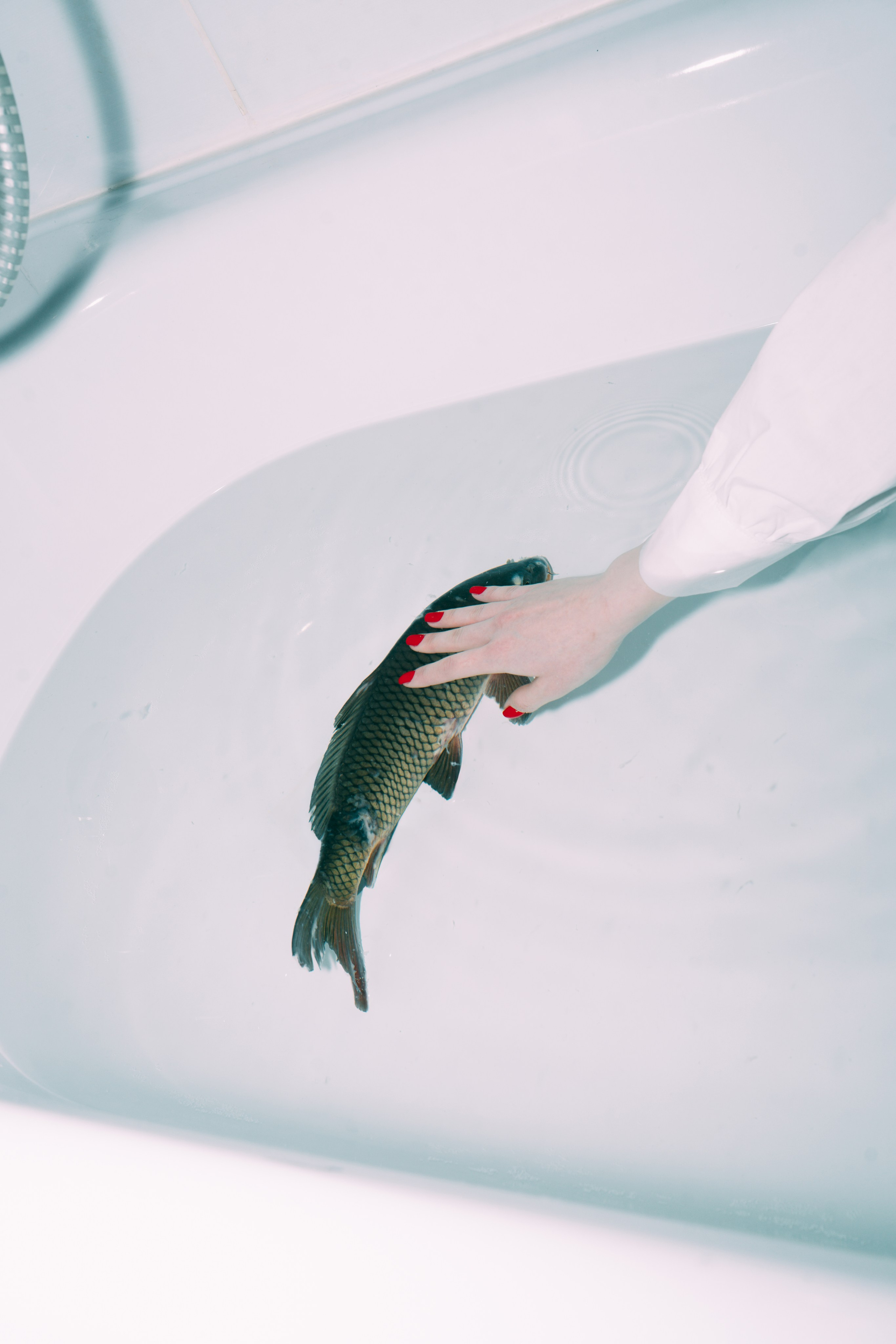 Carp Grisha. Sasha Speranskii — Conceptual Photographer | Based in Moscow