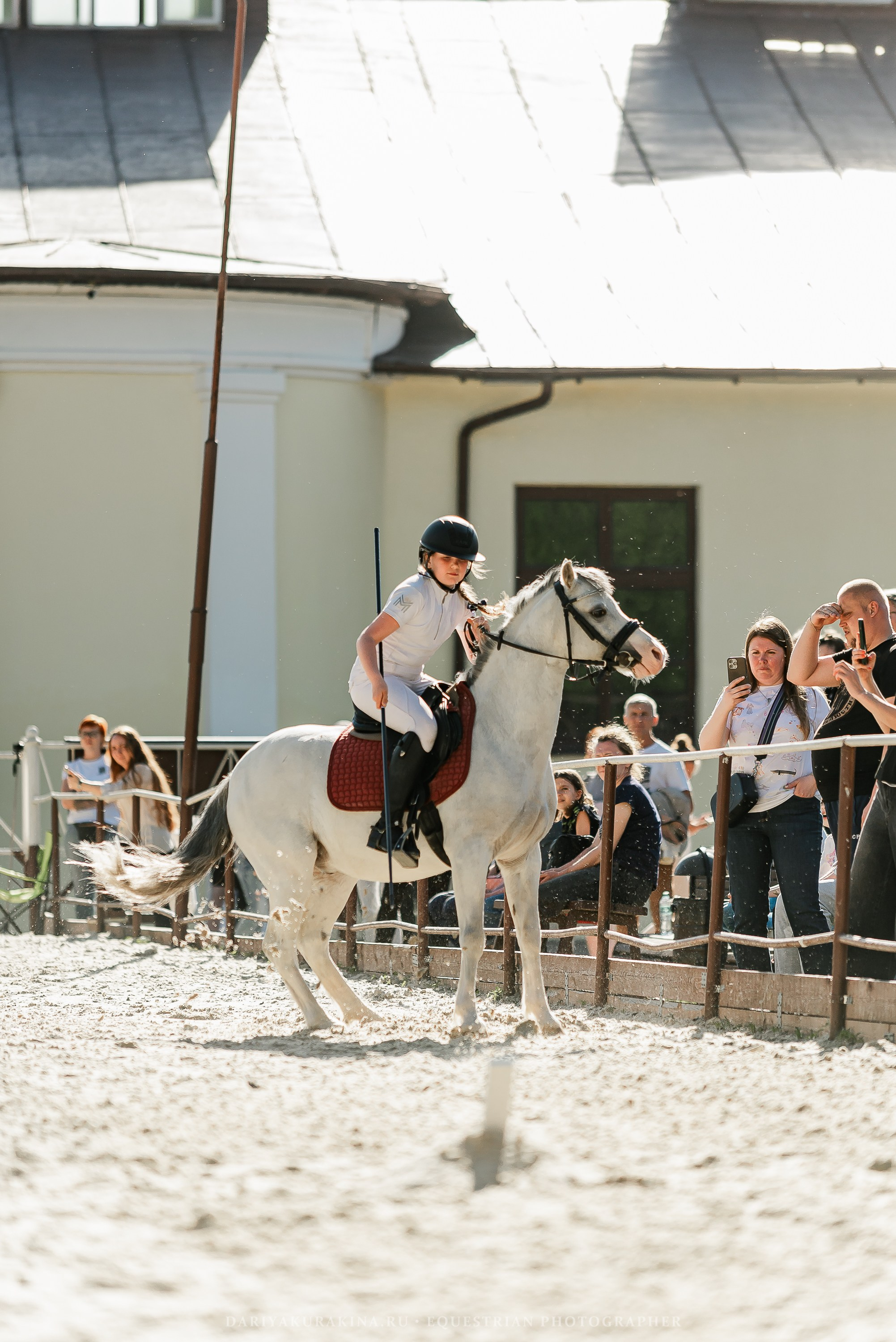 #ПОНИФОРУМ 2024. Конный фотограф Куракина Дарья • Фотосессии с лошадьми