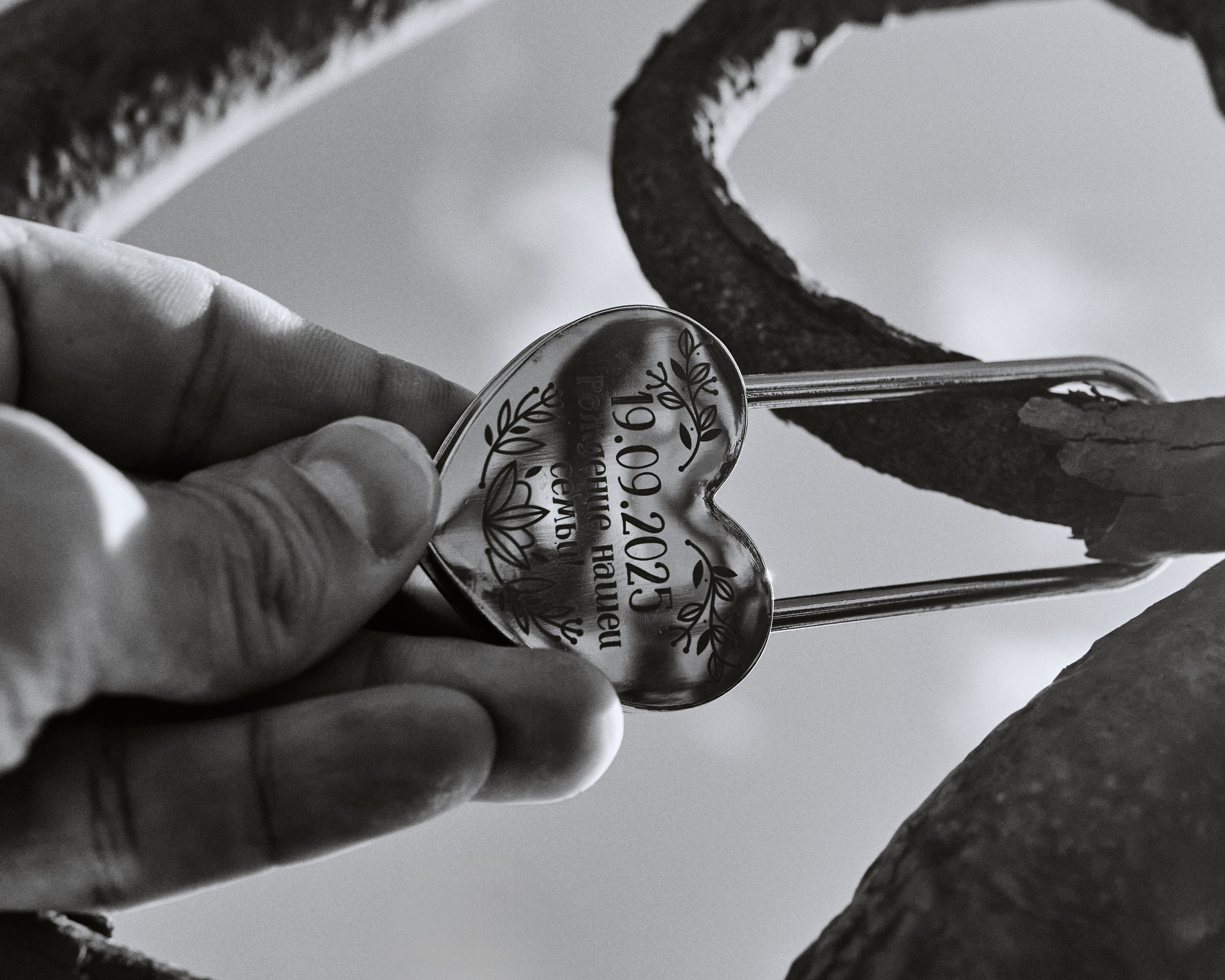 Летний бриз. Евгений Кудинов | Фотограф в Холмске