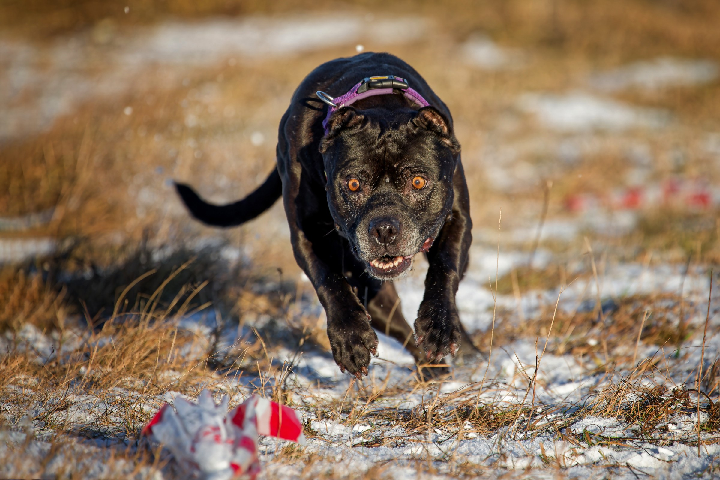 Lure Club 2025. Irenephoto.ru