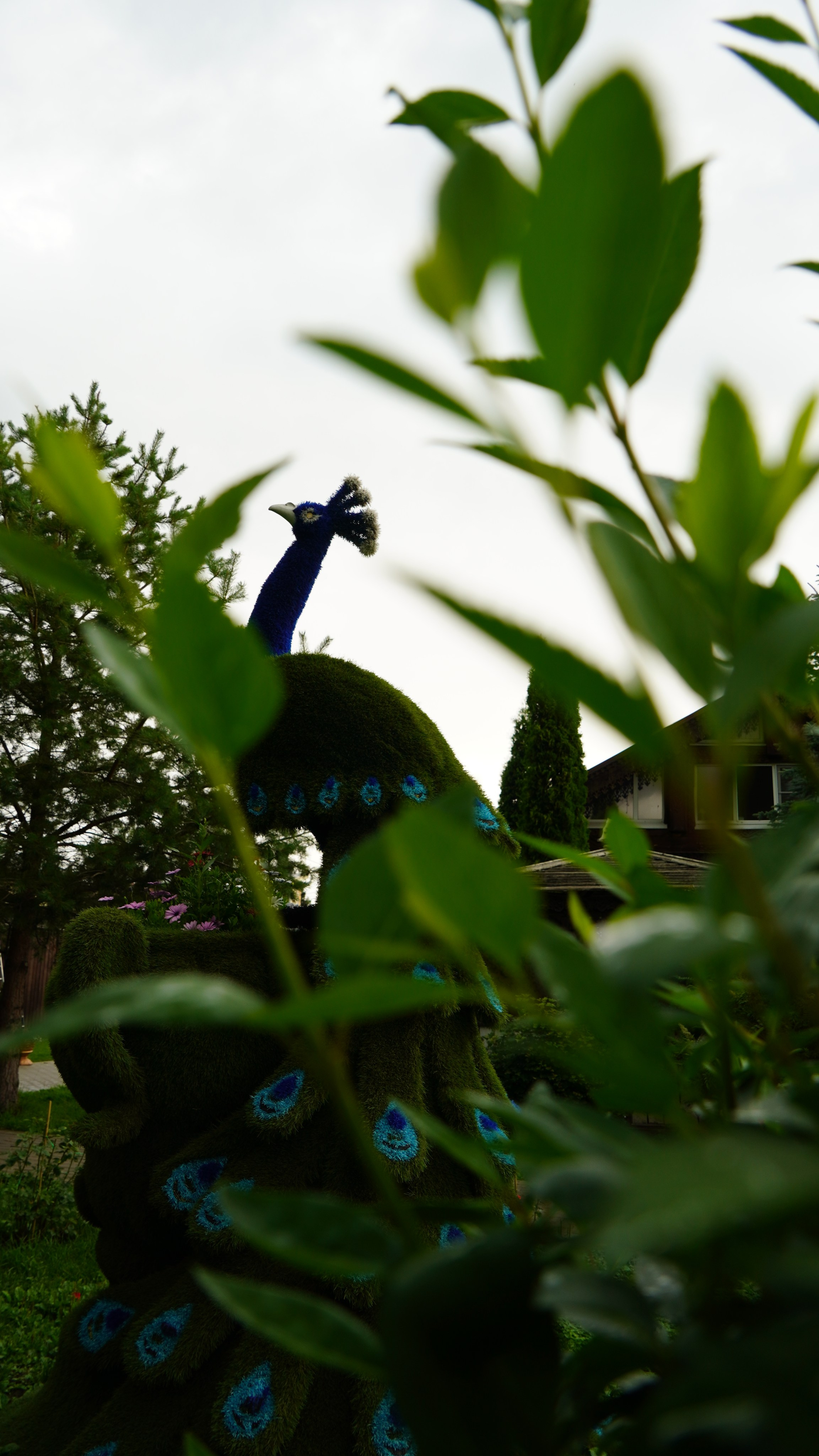 Архитектура и природа. Главная