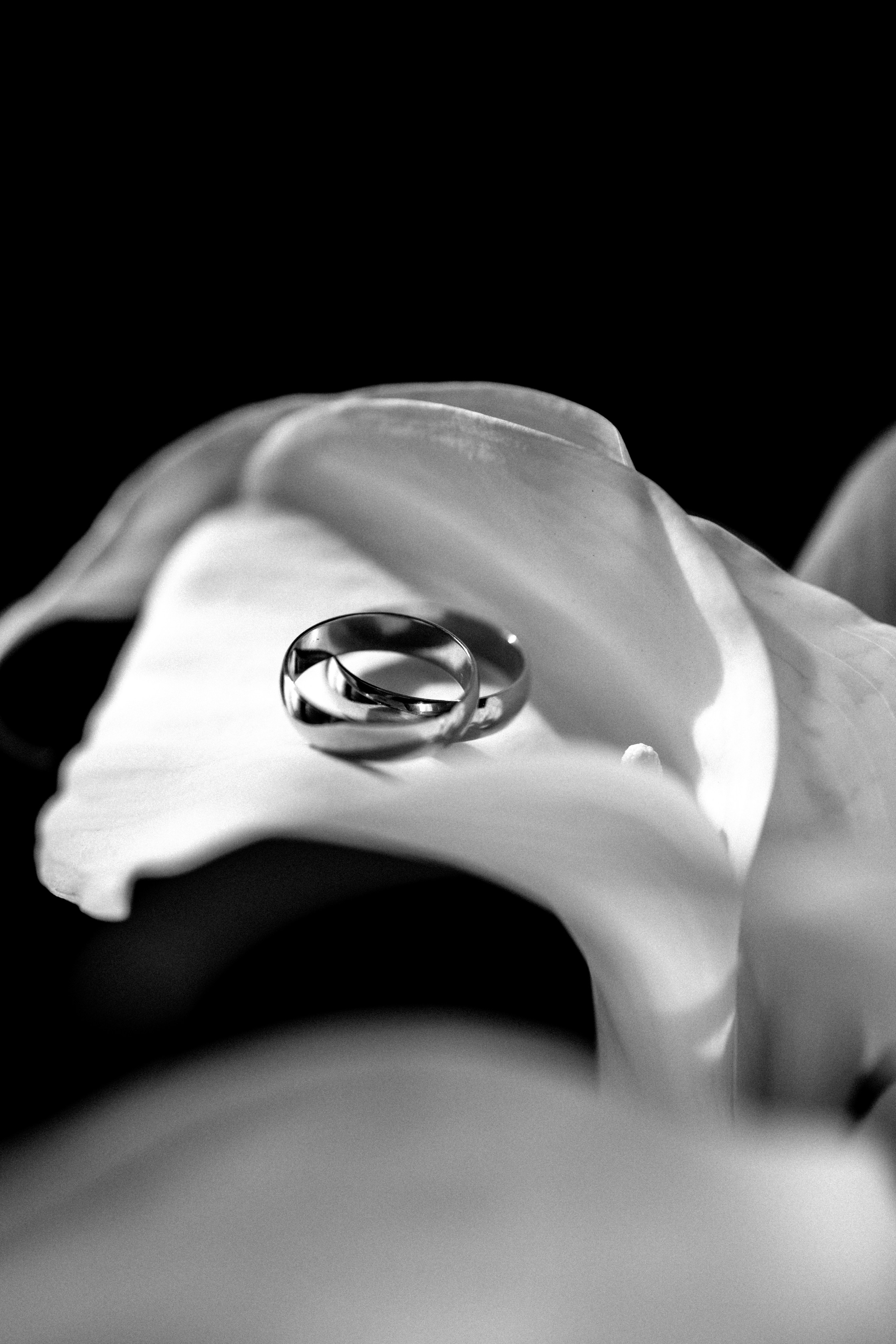 WITH LOVE. Фотограф Абронина Любовь | Москва