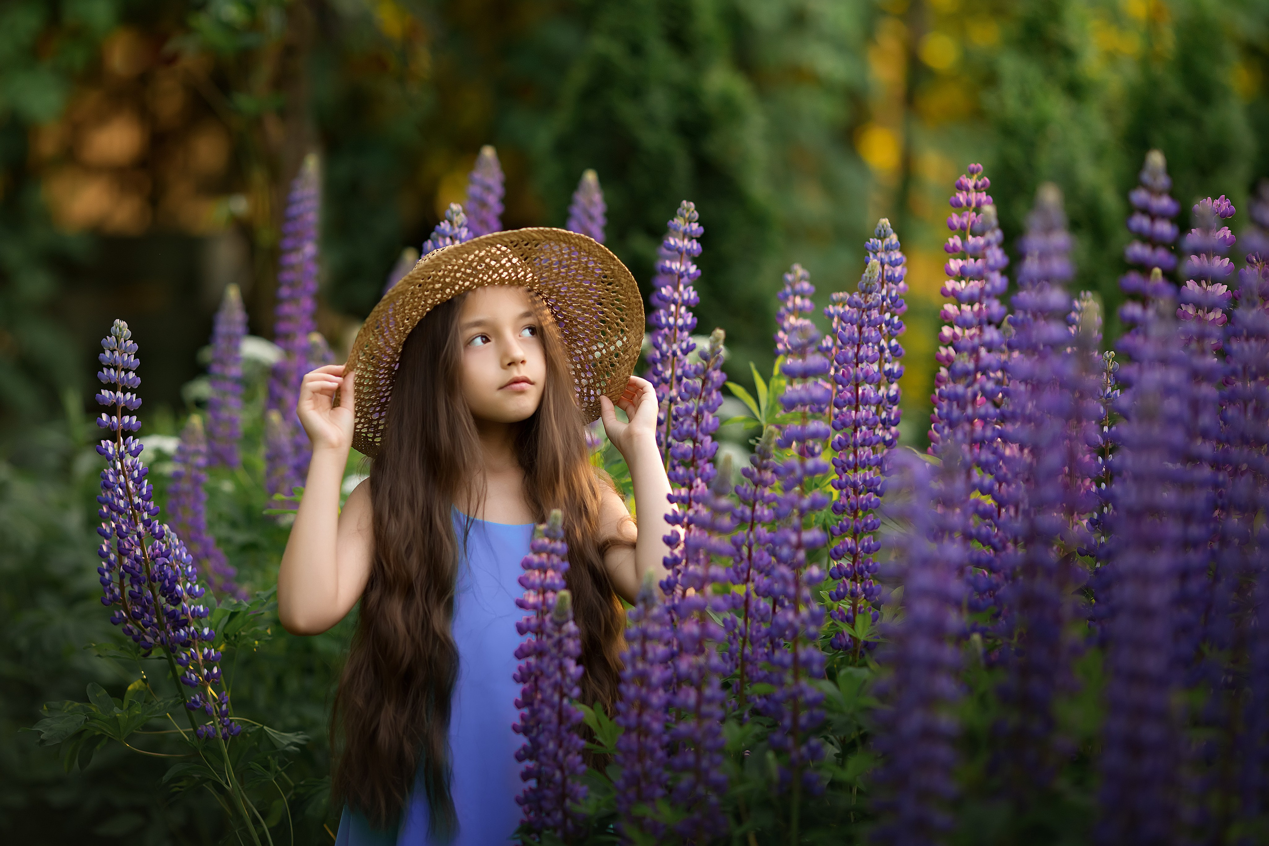 Лето. Главная