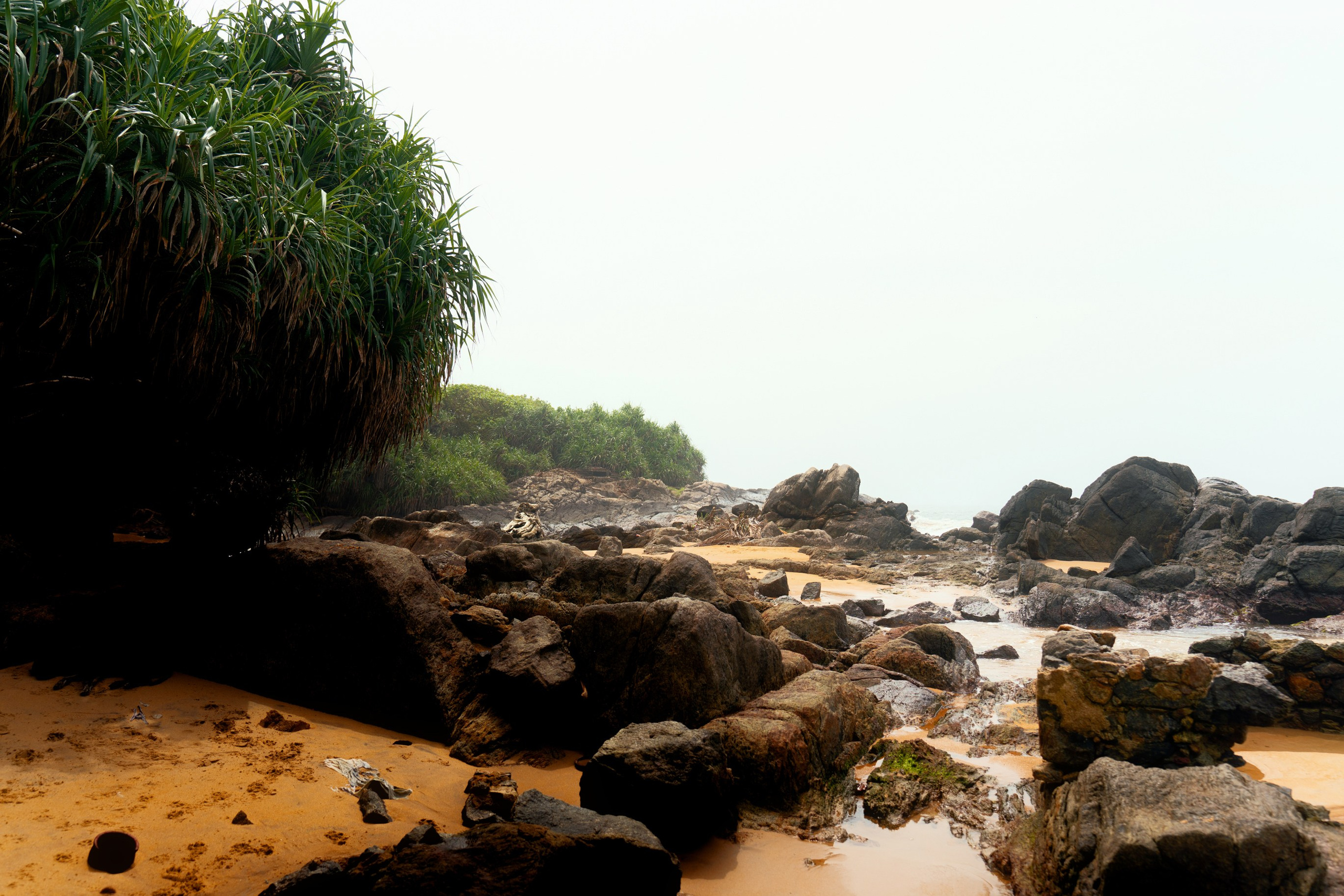 Ktokuda. Фотограф в Хабаровске. Фотография за 24 часа