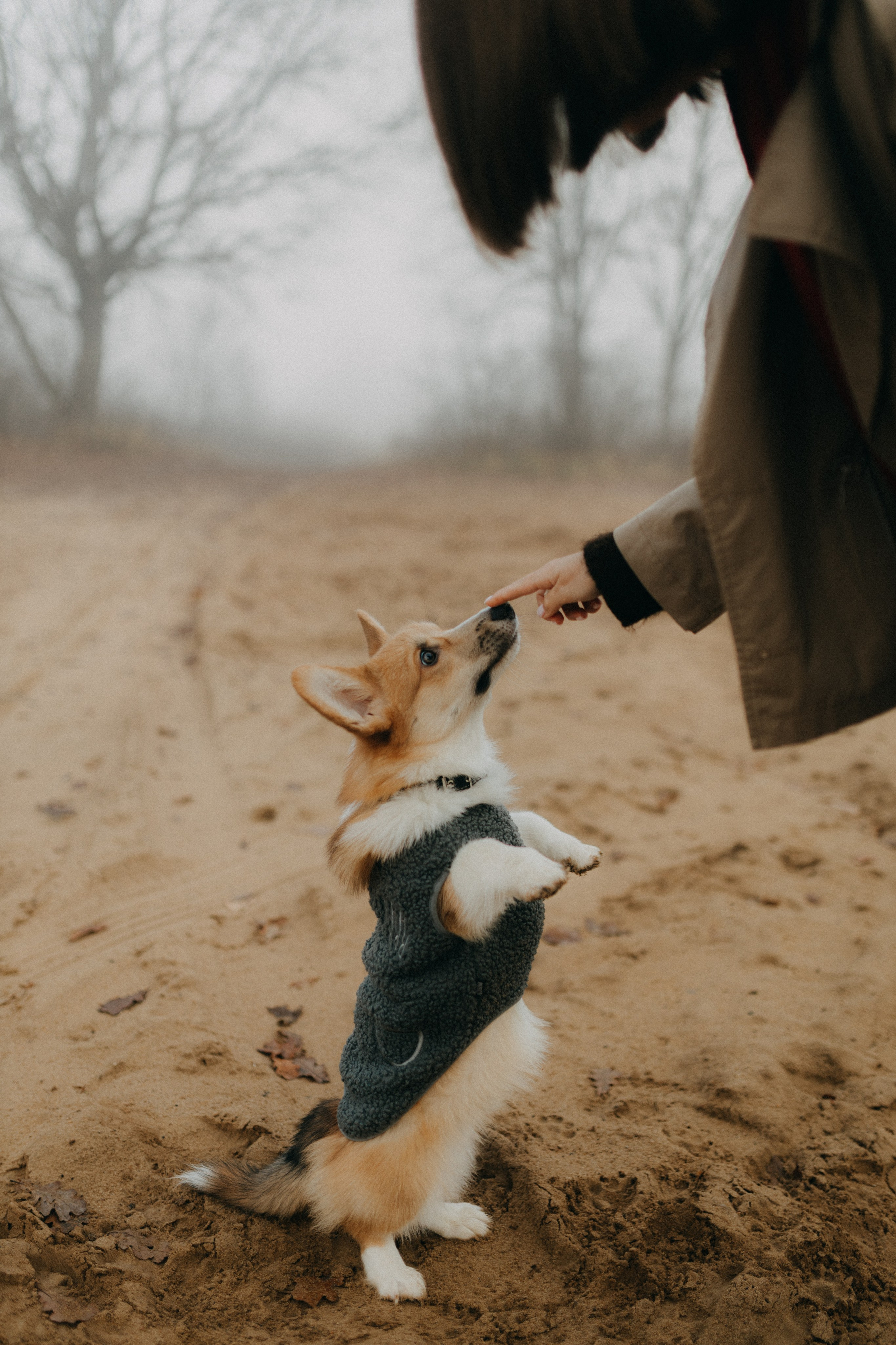 Алина. Фотограф НОГИНСК, Москва, Анастасия Белая