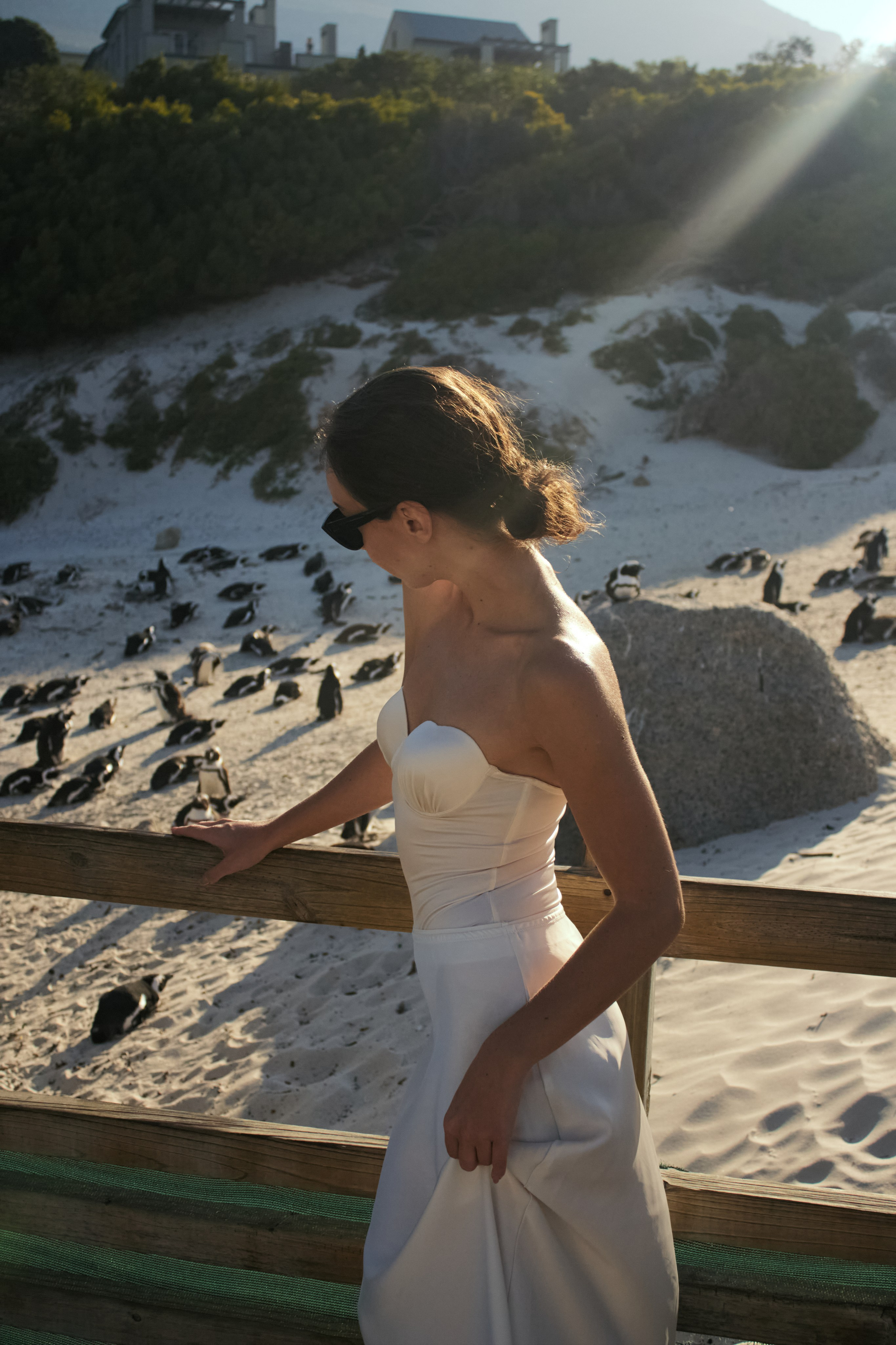 ЮАР. Профессиональный Фотограф во Владимире, в Москве и в Суздале — Полина Романычева