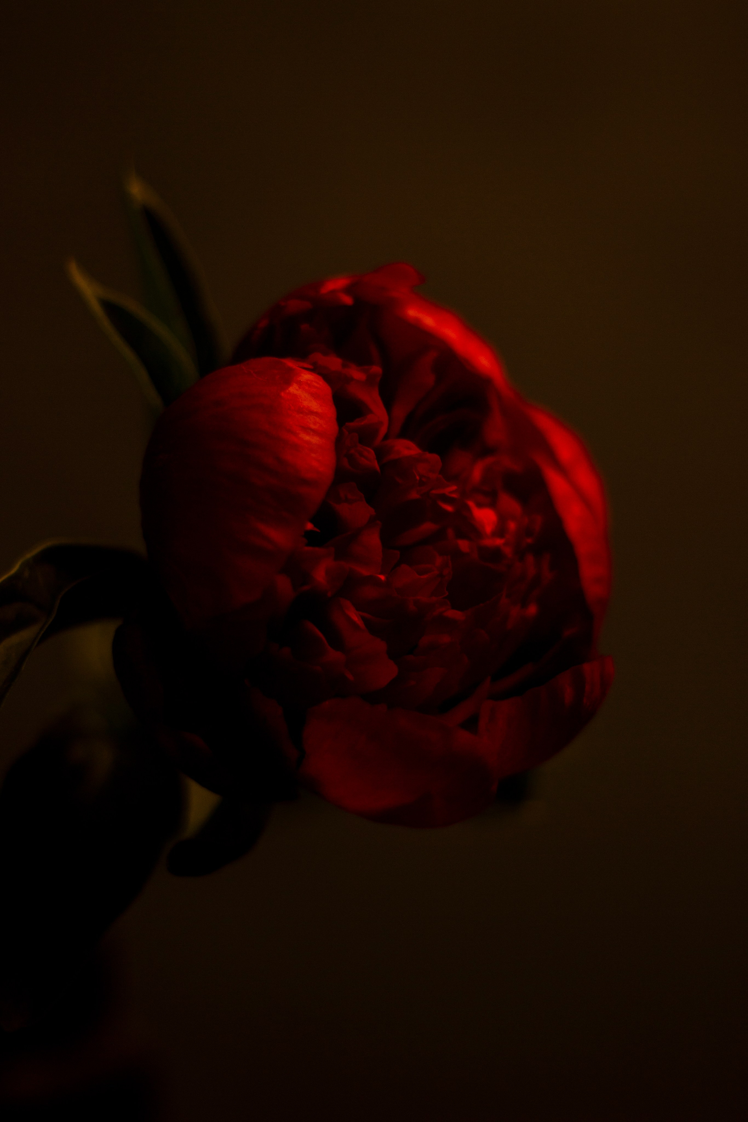 Предметная съемка. Ольга Ибатуллина