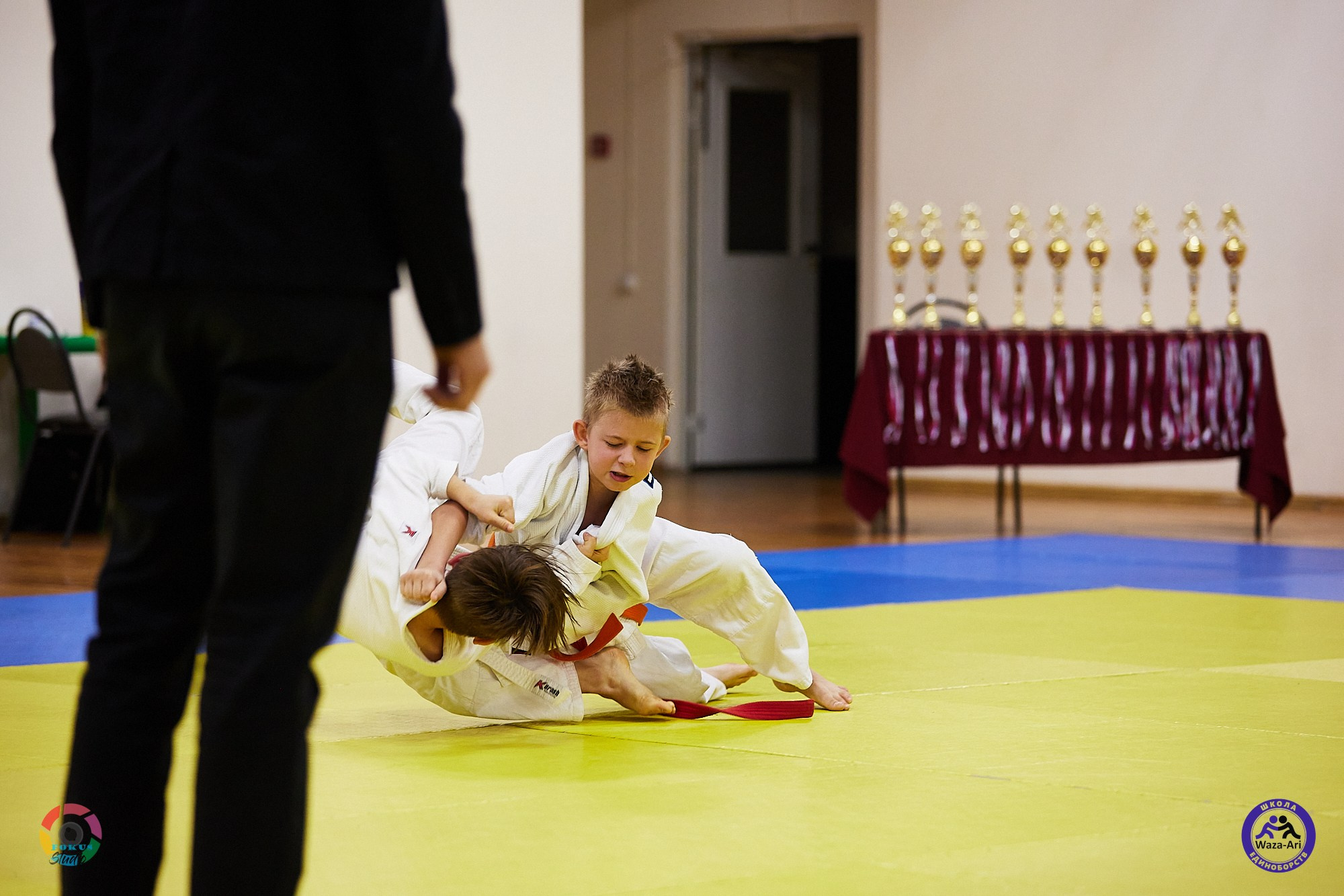Репортаж Турнир по дзюдо. Спортивный фотограф Некрасов Денис