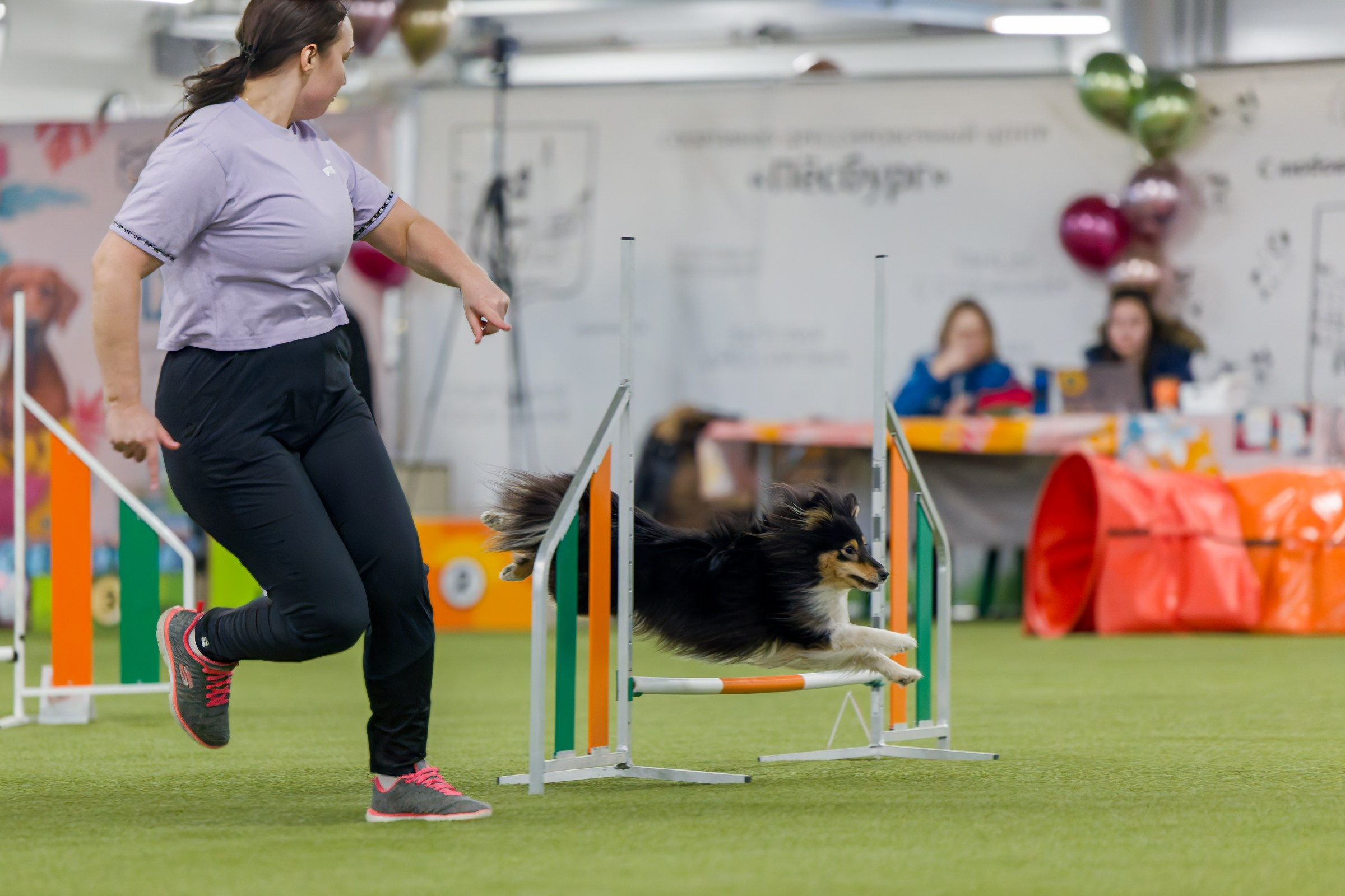 День рождения Пёсбурга — февраль 2025. Irenephoto.ru