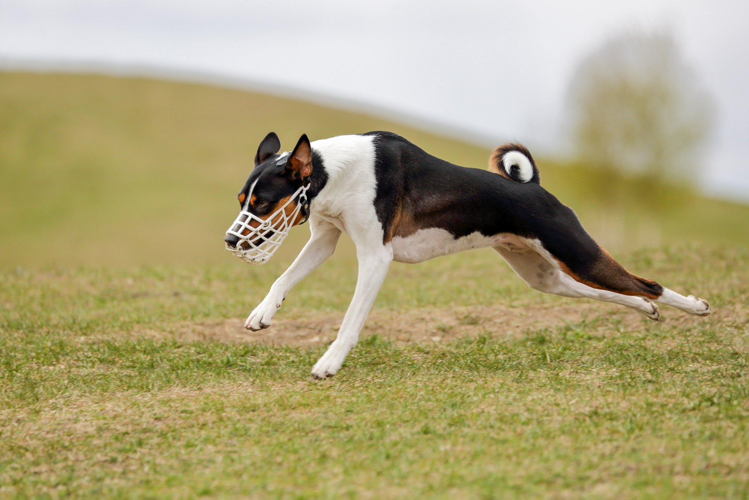 Lure Club май 2024. Irenephoto.ru