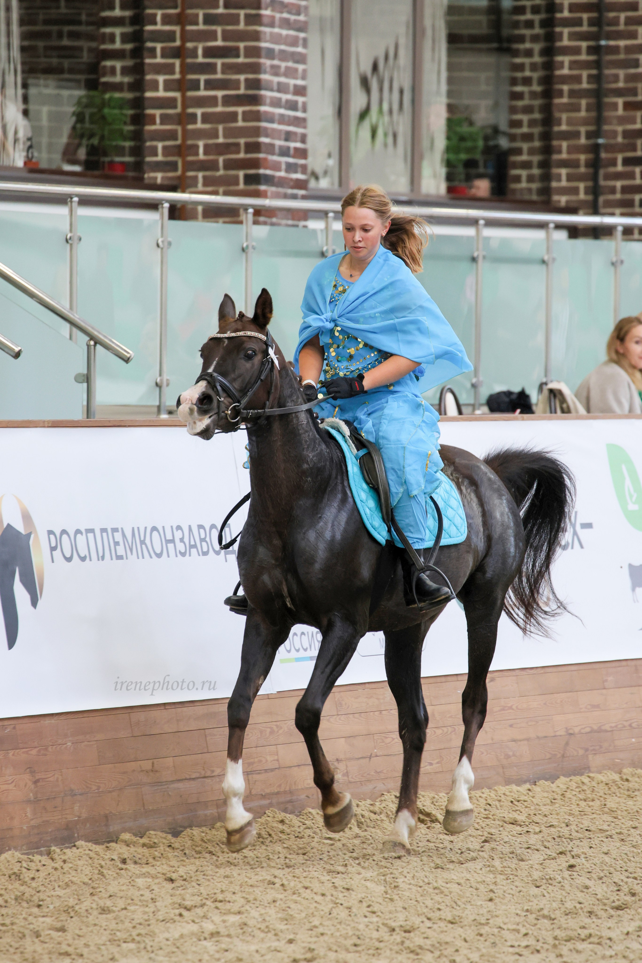 Конная Россия 2024. Irenephoto.ru