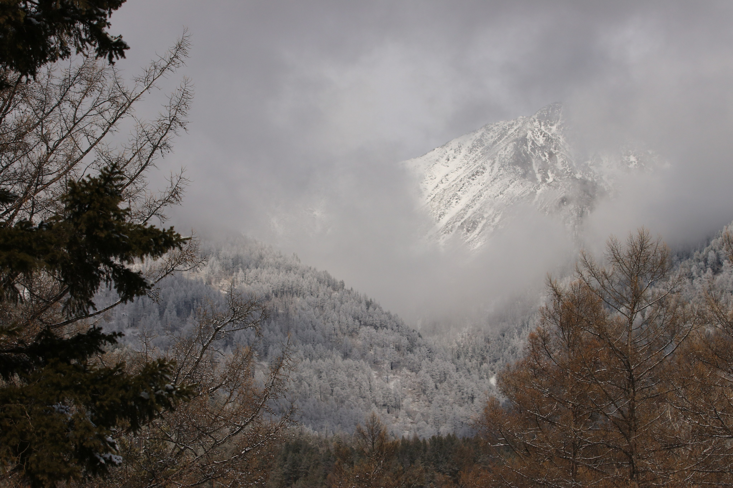 Аршан. Март 2023. Путешественник-фотограф из Санкт-Петербурга Татьяна Свистулина