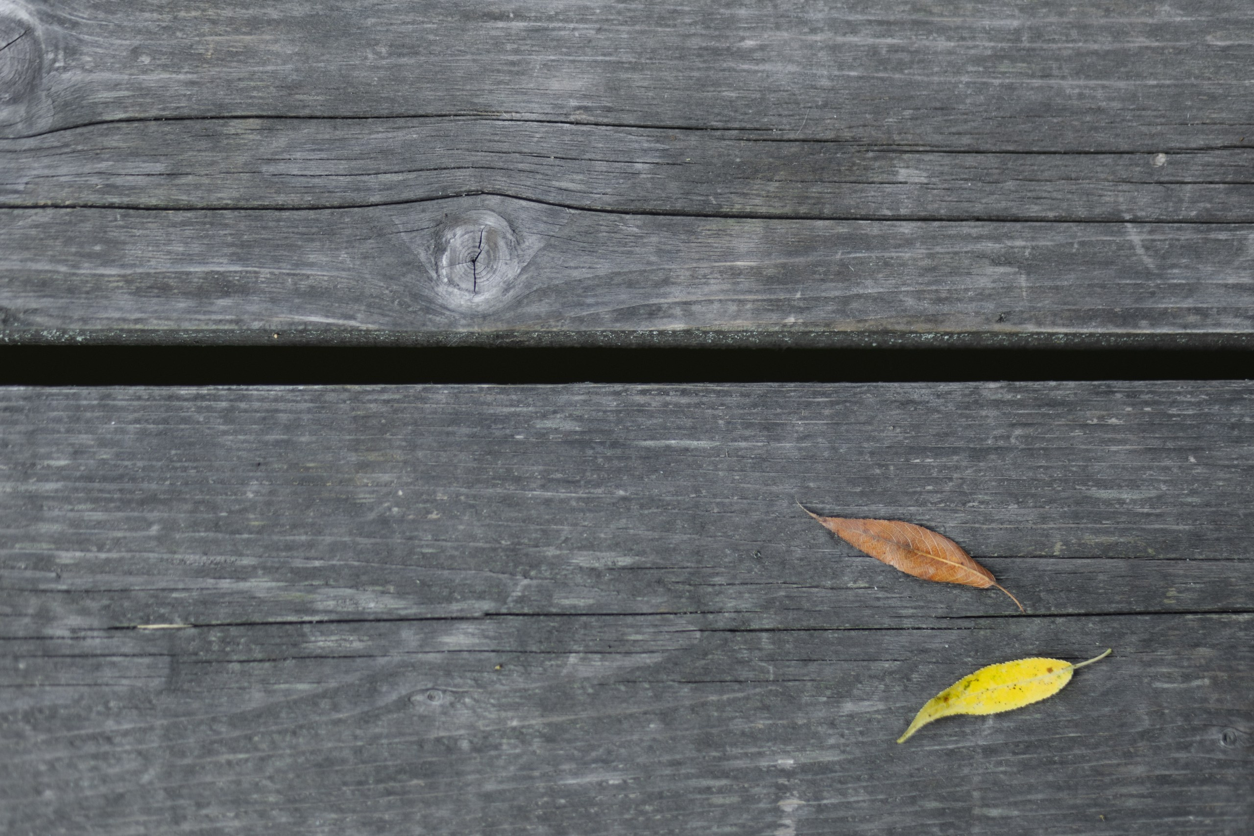 Женя и Лилия. Профессиональная видео и фото съёмка в Калуге и области