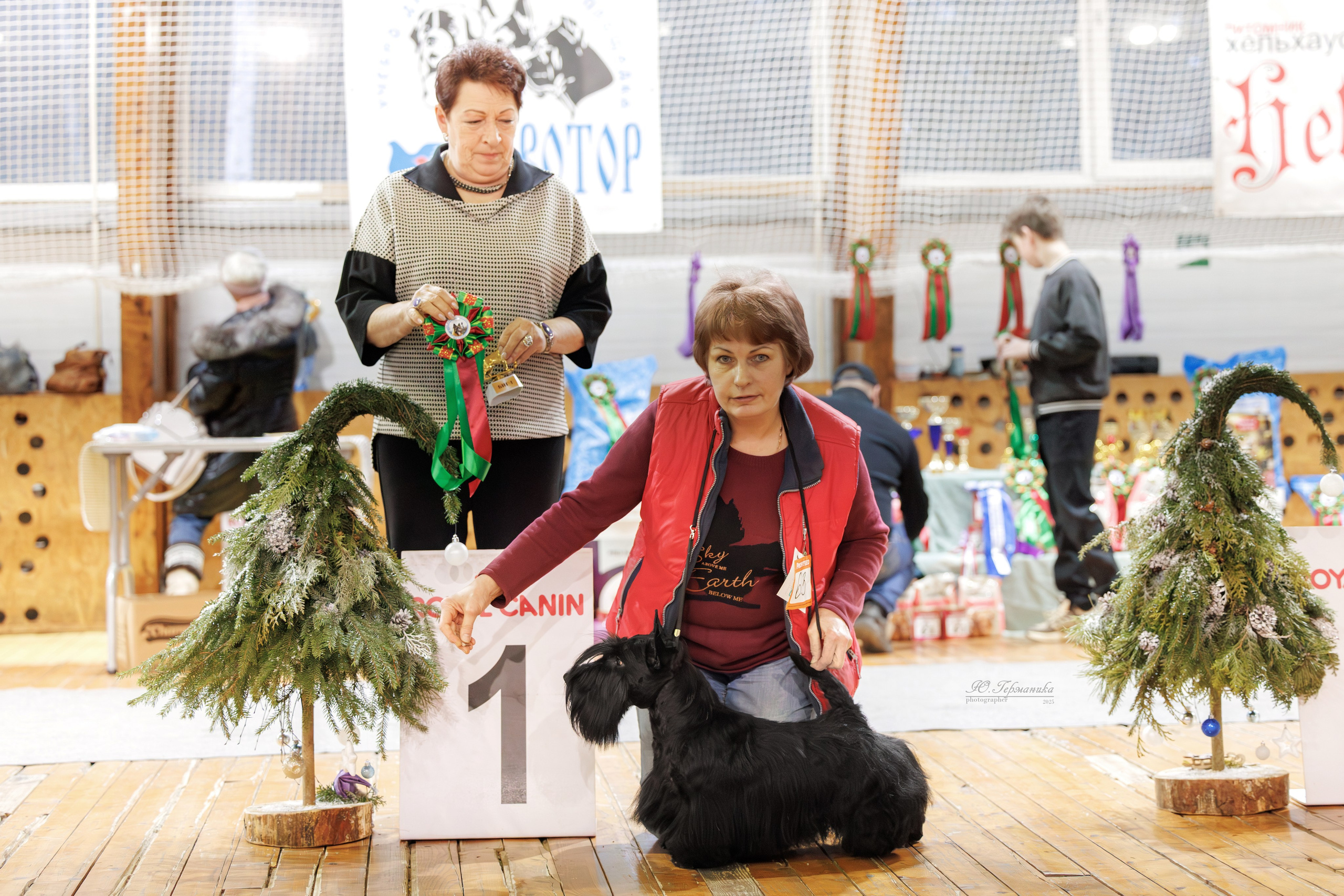 Тверь 21.12.2025. Фотограф-анималист Юлия Германика