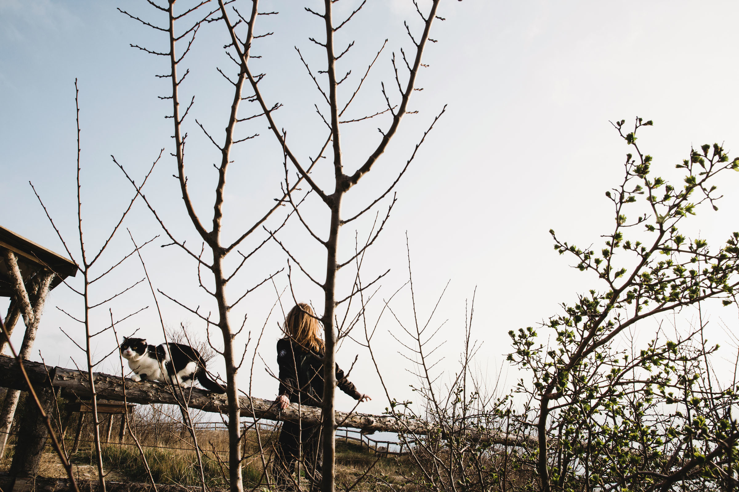 Прогулка// Наталья&Семён. Фотограф Алутера Ирина