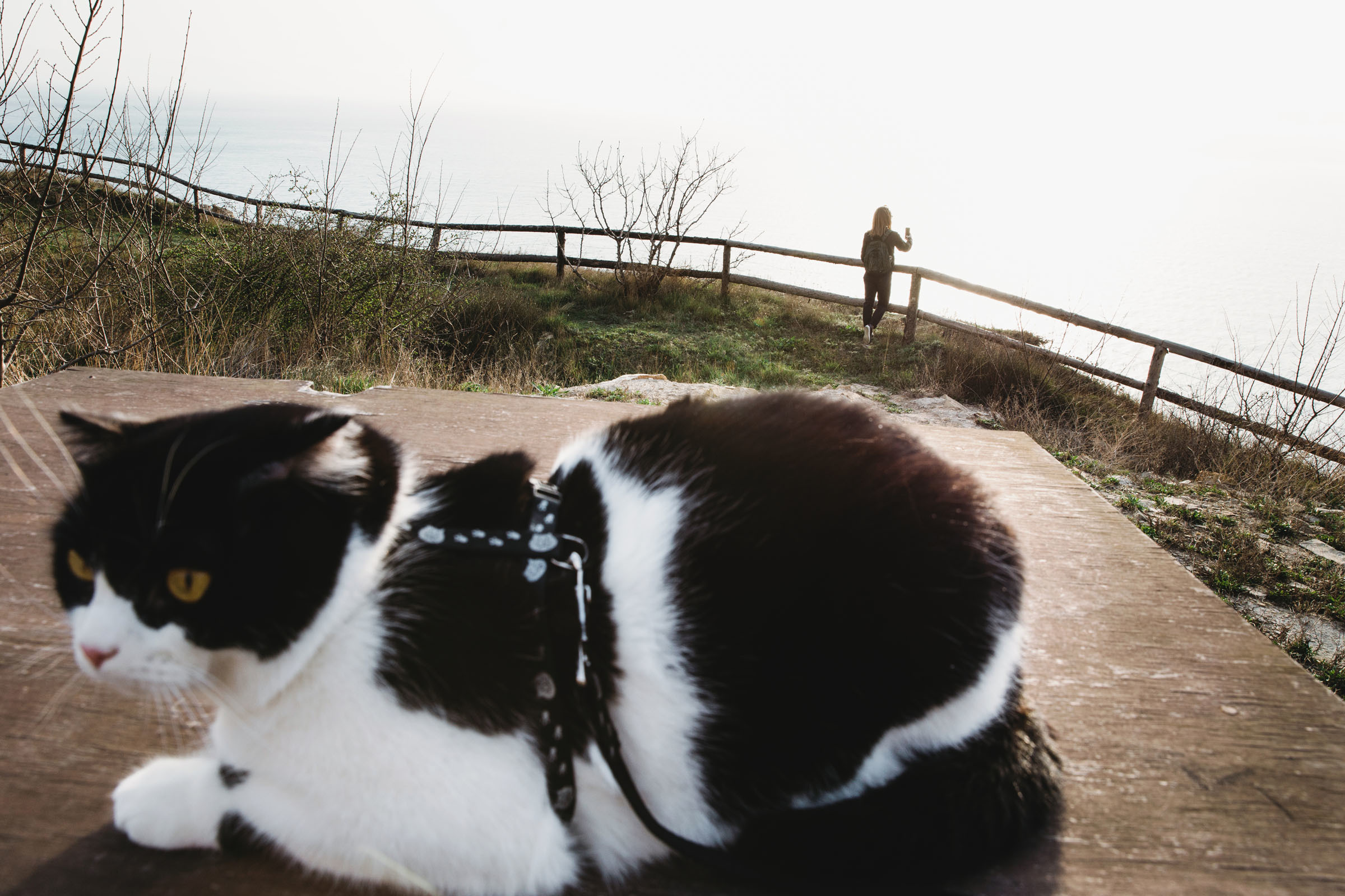 Прогулка// Наталья&Семён. Фотограф Алутера Ирина