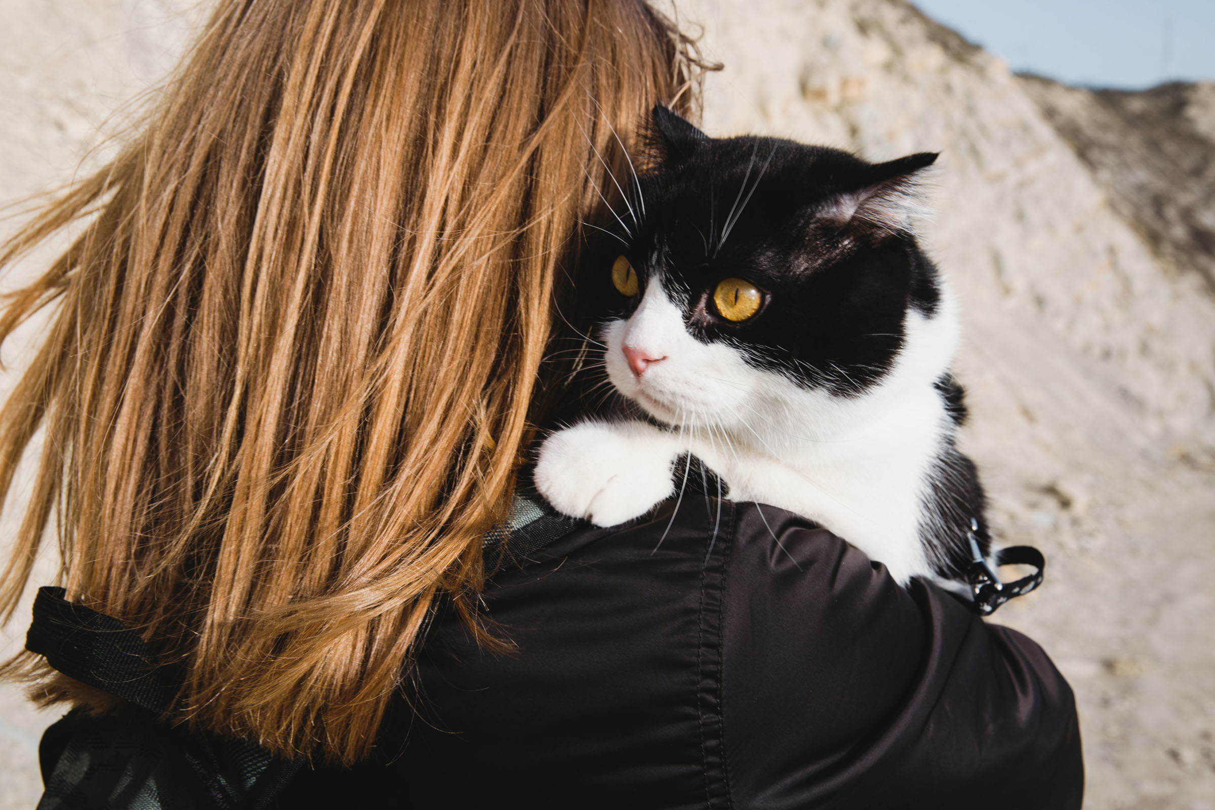 Прогулка// Наталья&Семён. Фотограф Алутера Ирина