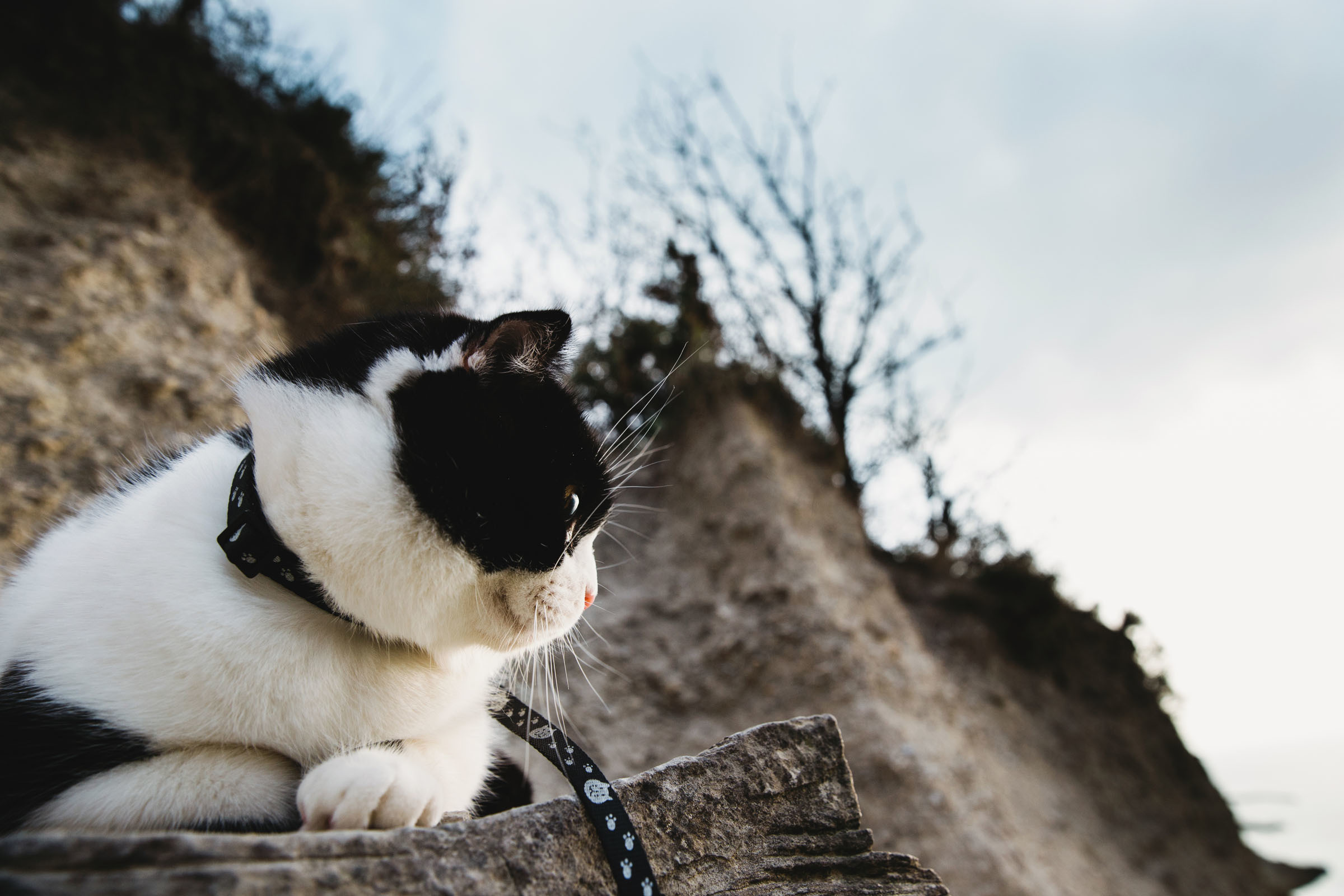 Прогулка// Наталья&Семён. Фотограф Алутера Ирина