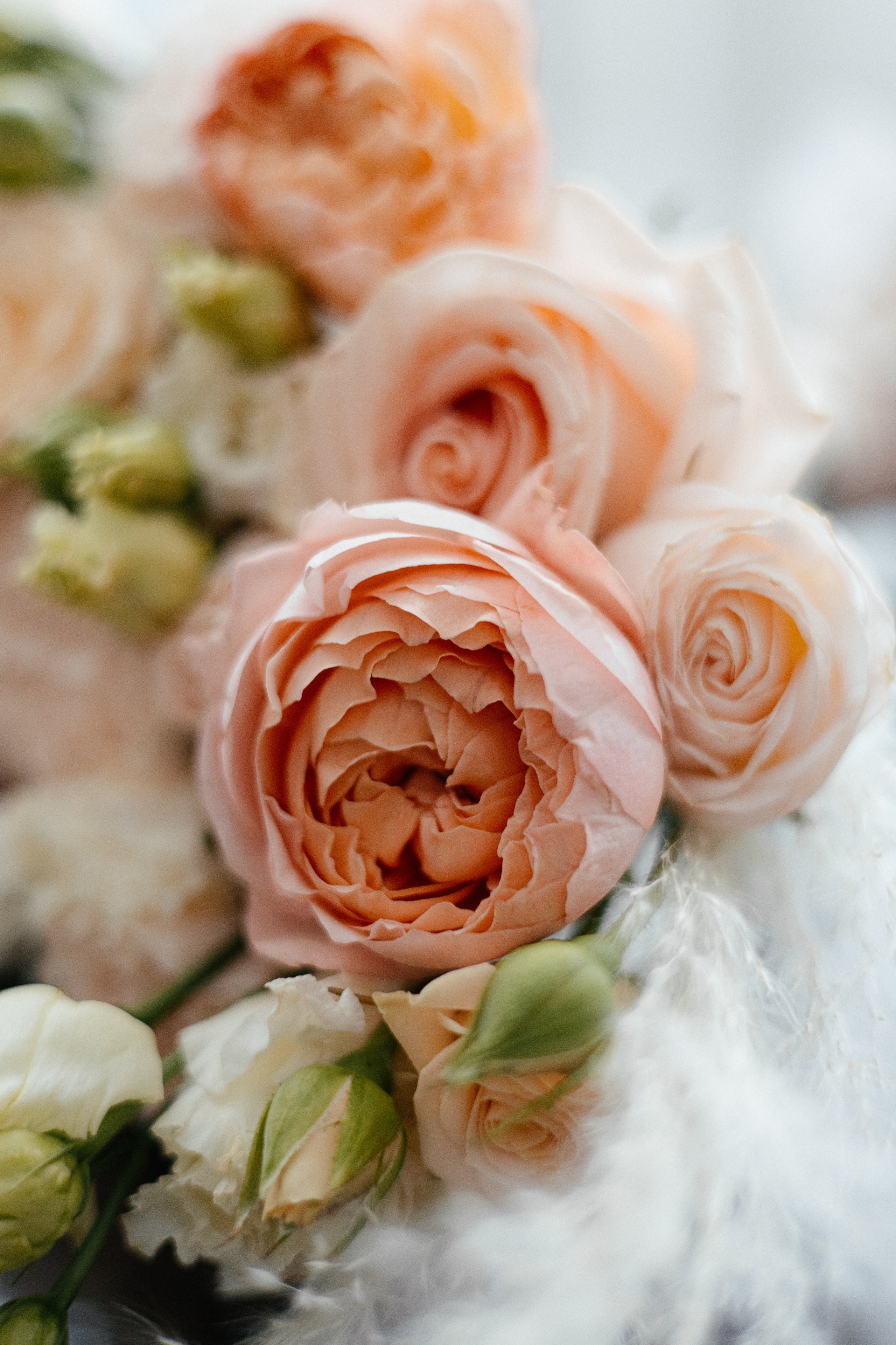 Сборы невесты